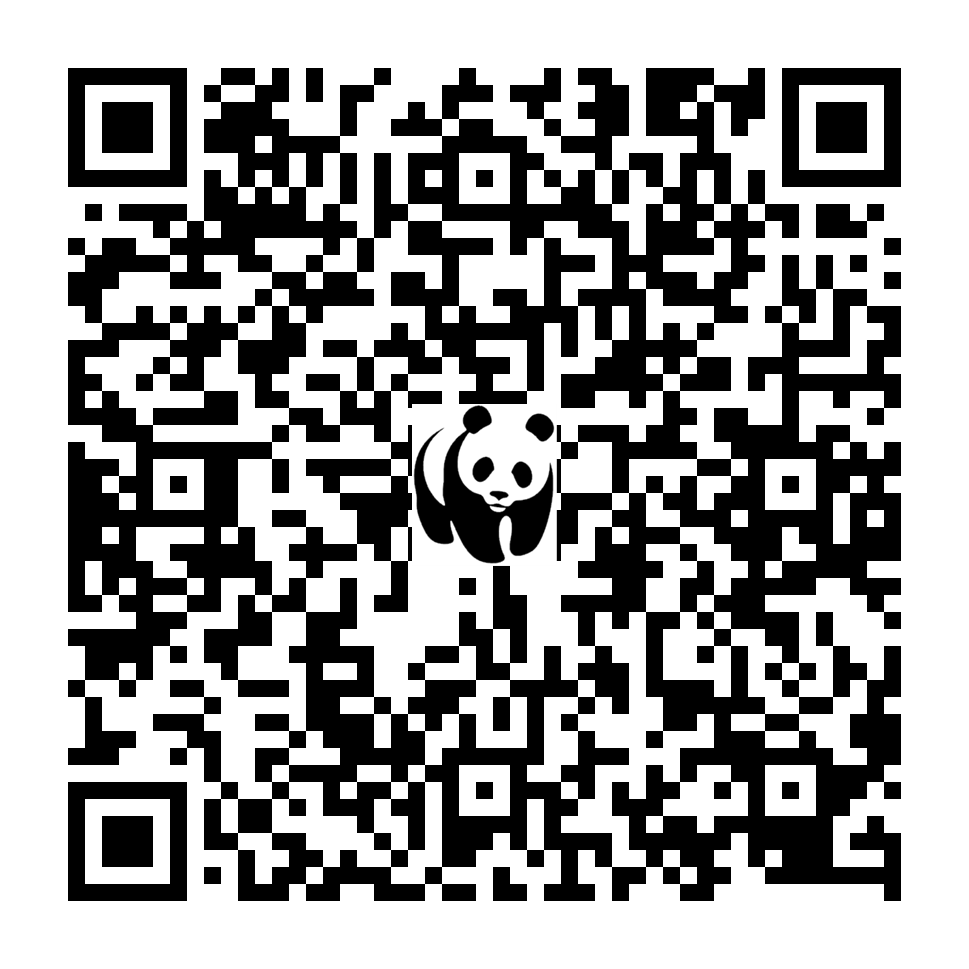 Scan deze QR-code om te doneren (vernieuw de pagina als je geen QR-code ziet)