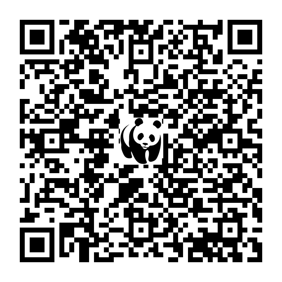 Scan deze QR-code om te doneren (vernieuw de pagina als je geen QR-code ziet)