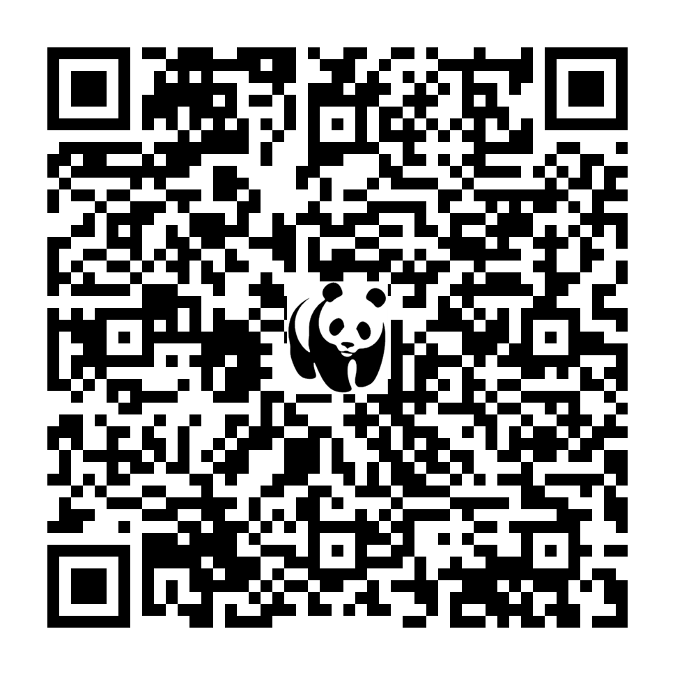 Scan deze QR-code om te doneren (vernieuw de pagina als je geen QR-code ziet)