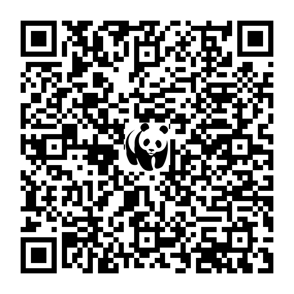 Scan deze QR-code om te doneren (vernieuw de pagina als je geen QR-code ziet)