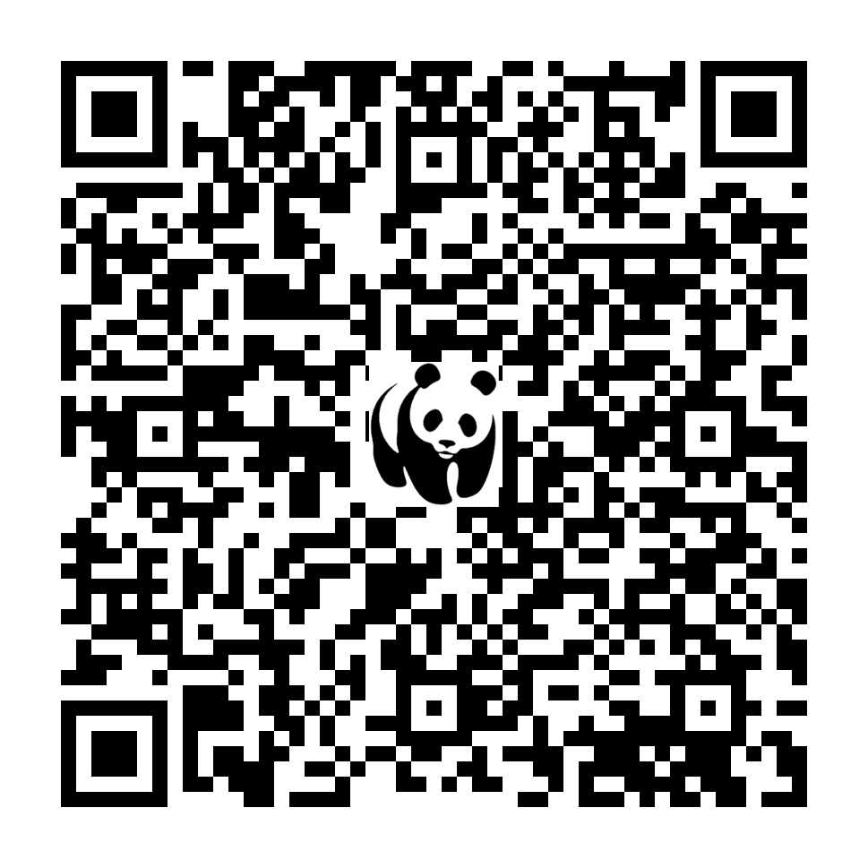 Scan deze QR-code om te doneren (vernieuw de pagina als je geen QR-code ziet)