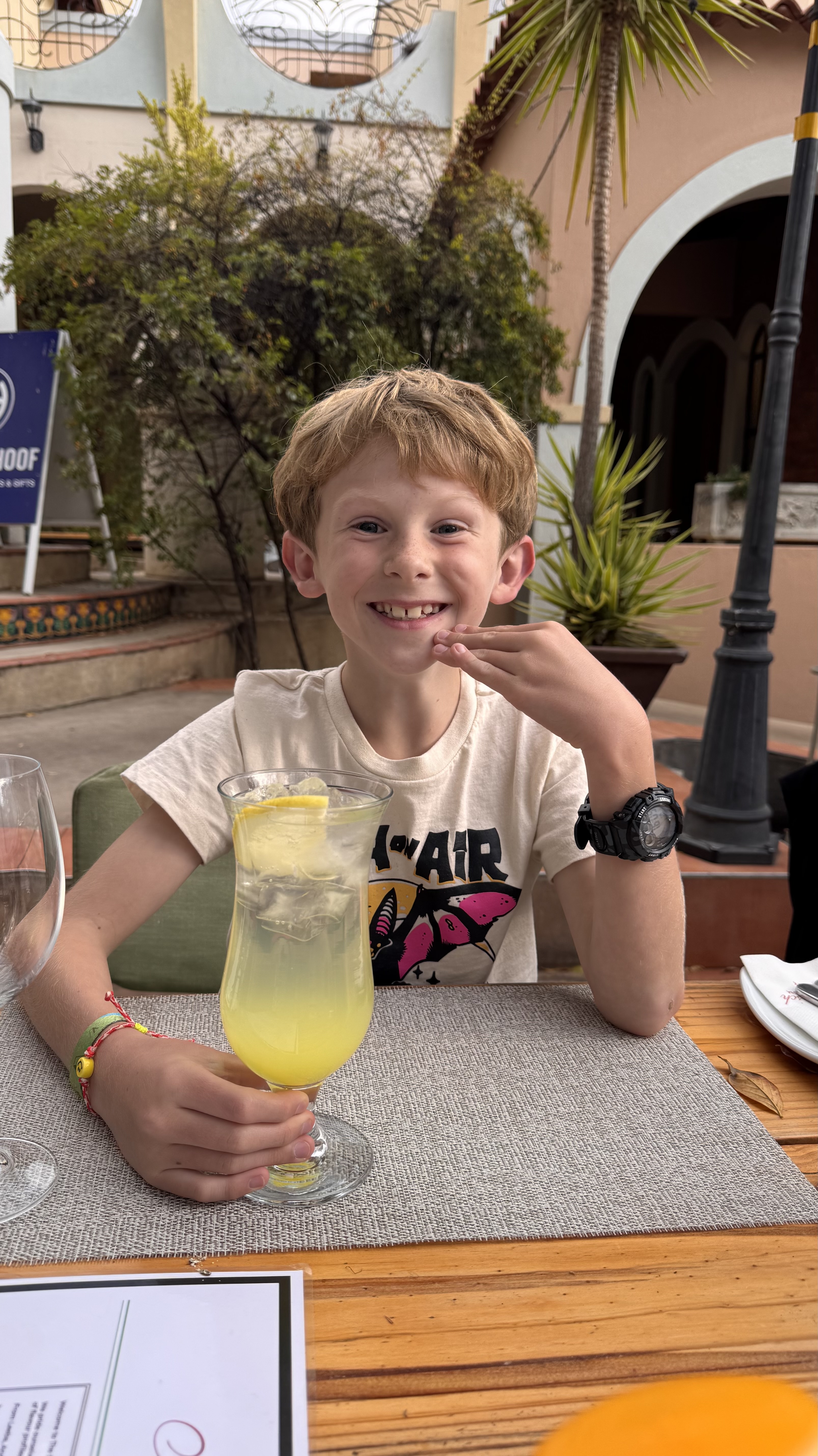 Moos voor de Olifant