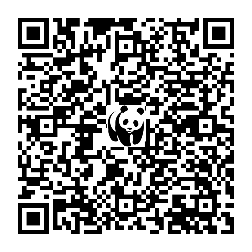Scan deze QR-code om te doneren (vernieuw de pagina als je geen QR-code ziet)