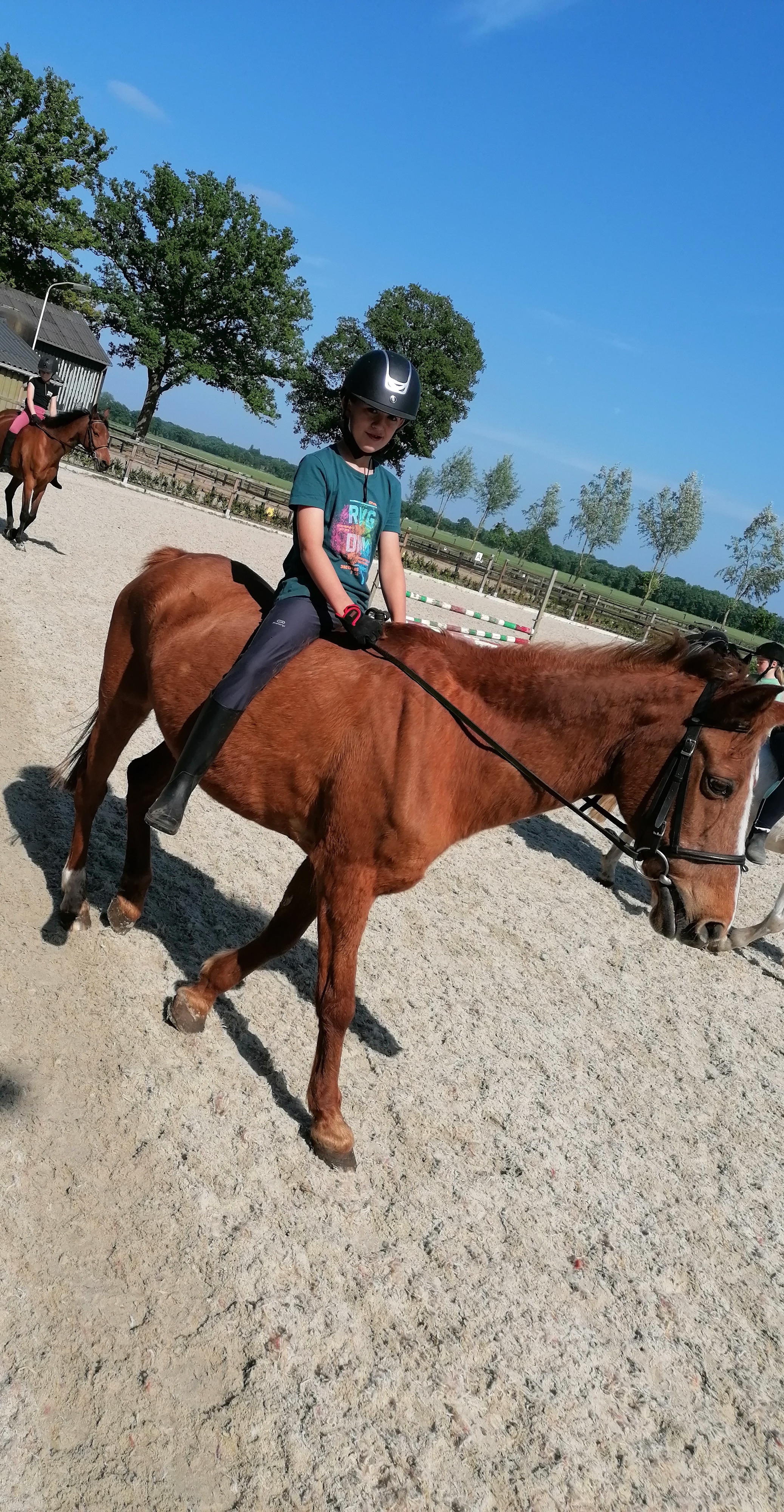 De schilpadden redden