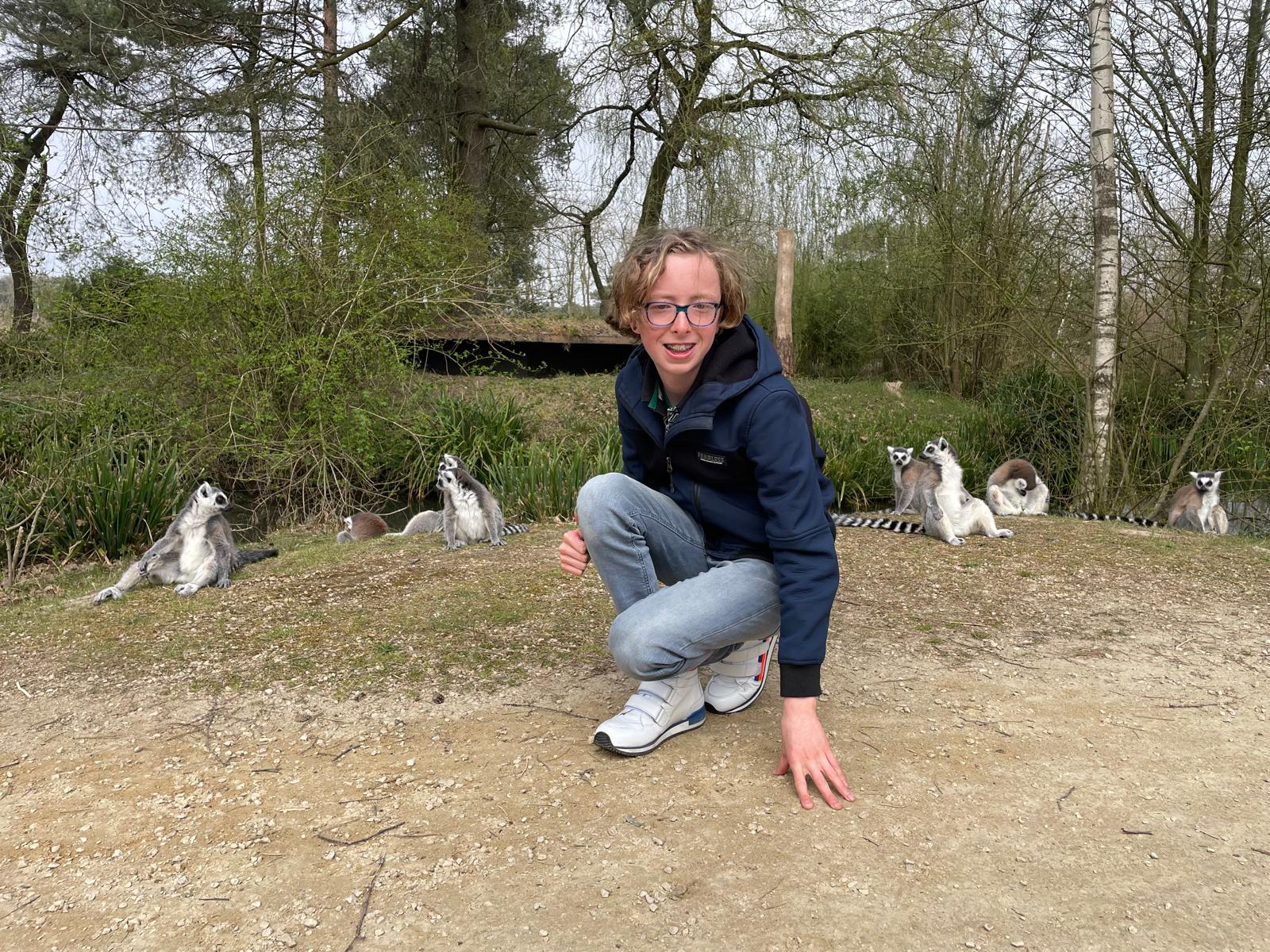 Cup cakes zeeschildpad