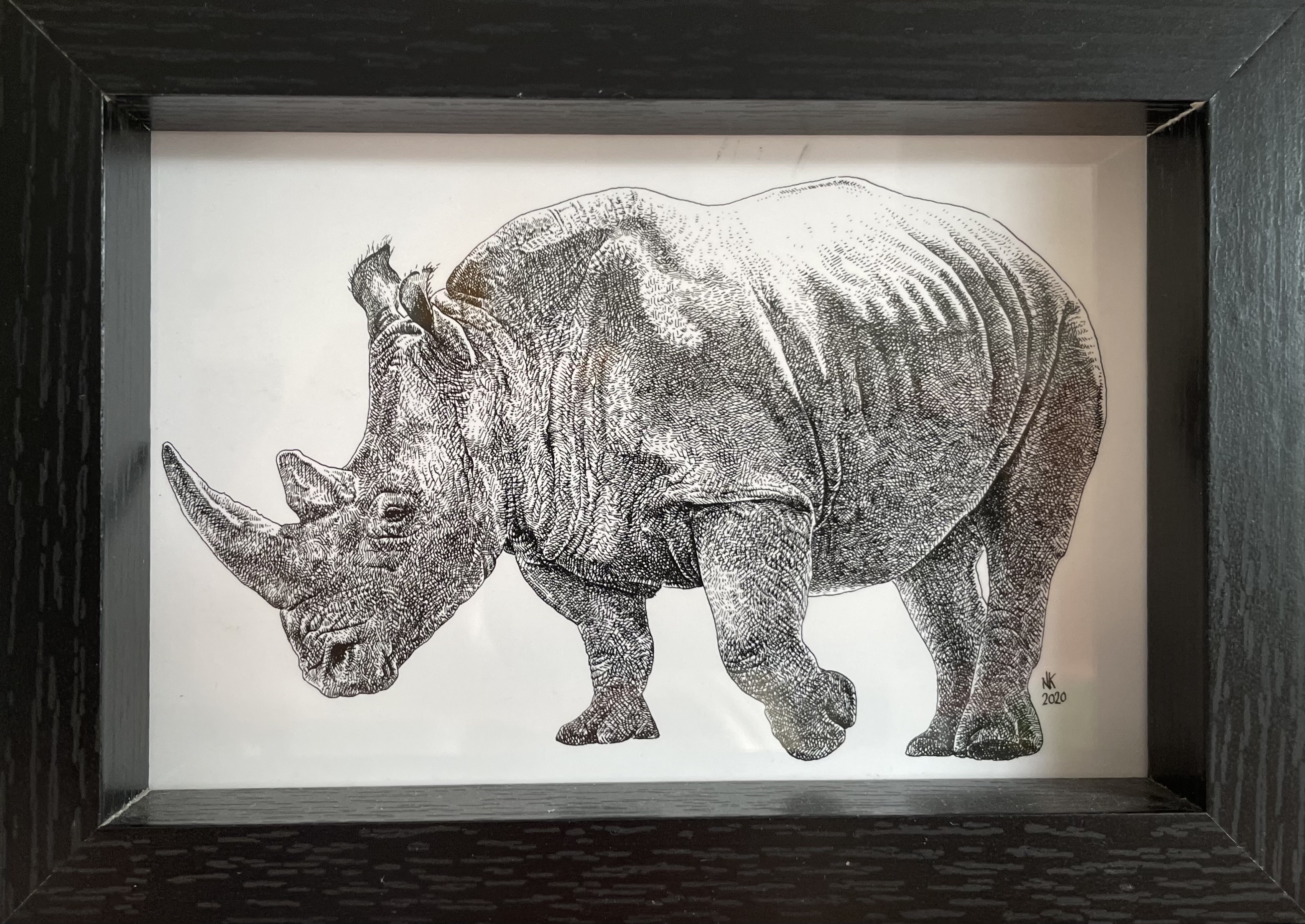 Donate to real rinos