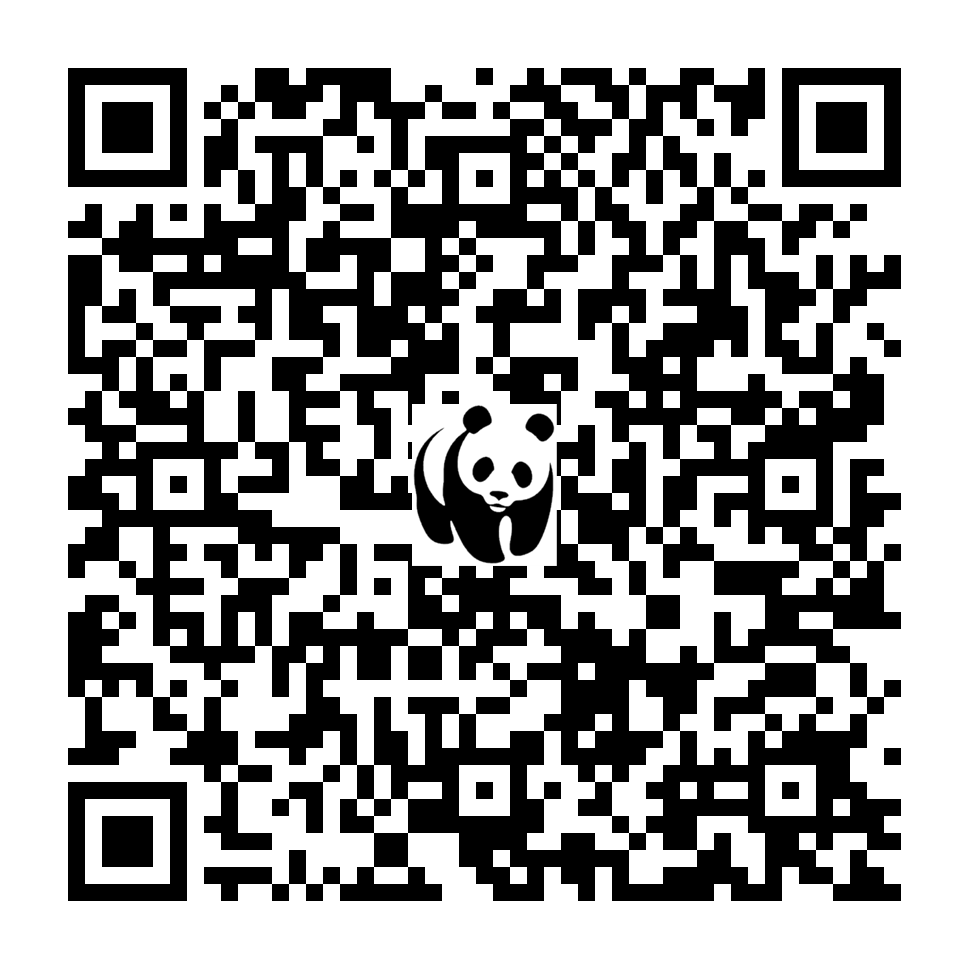 Scan deze QR-code om te doneren (vernieuw de pagina als je geen QR-code ziet)