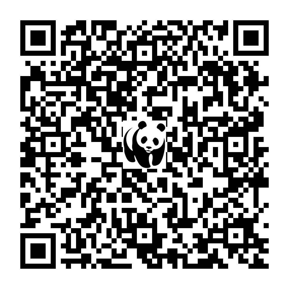 Scan deze QR-code om te doneren (vernieuw de pagina als je geen QR-code ziet)