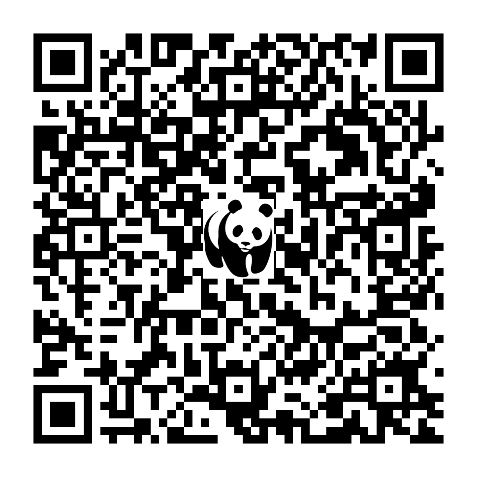 Scan deze QR-code om te doneren (vernieuw de pagina als je geen QR-code ziet)