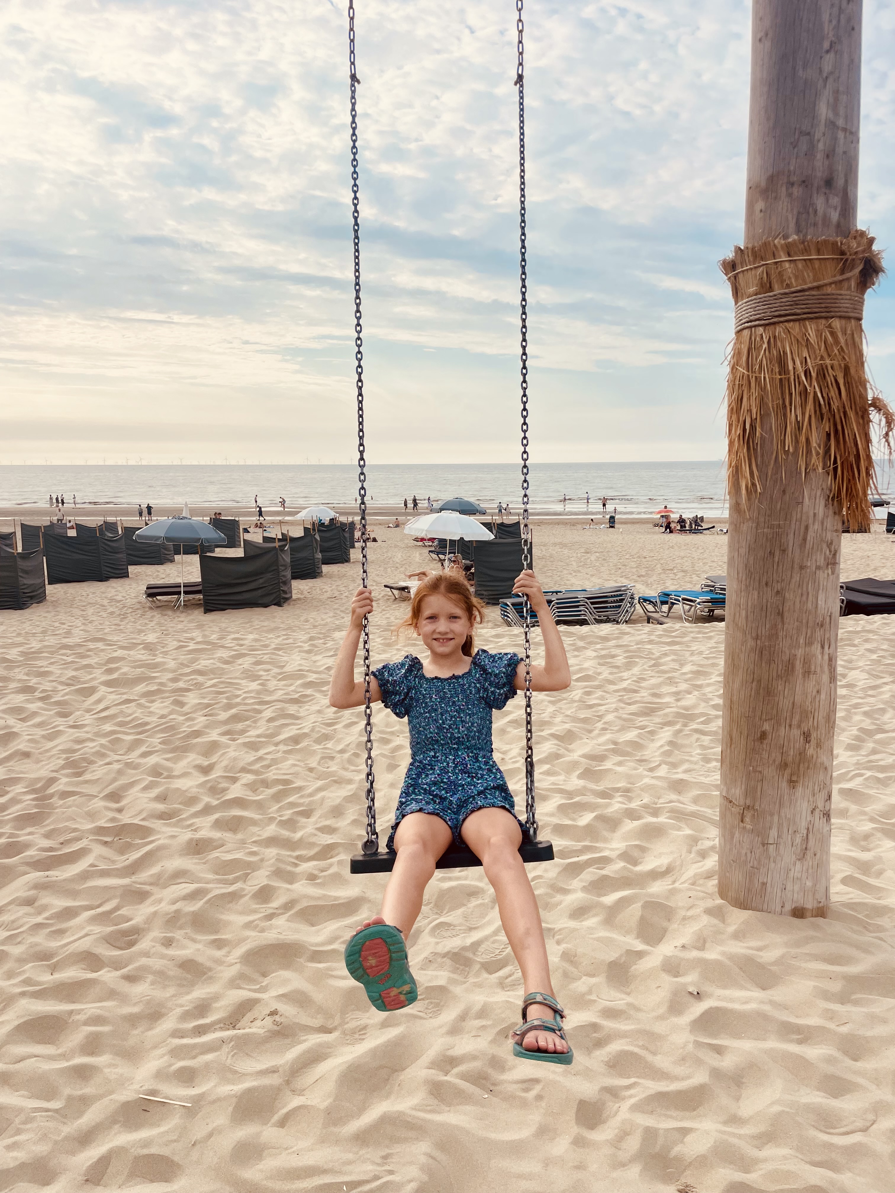 Help de zeeschildpadjes