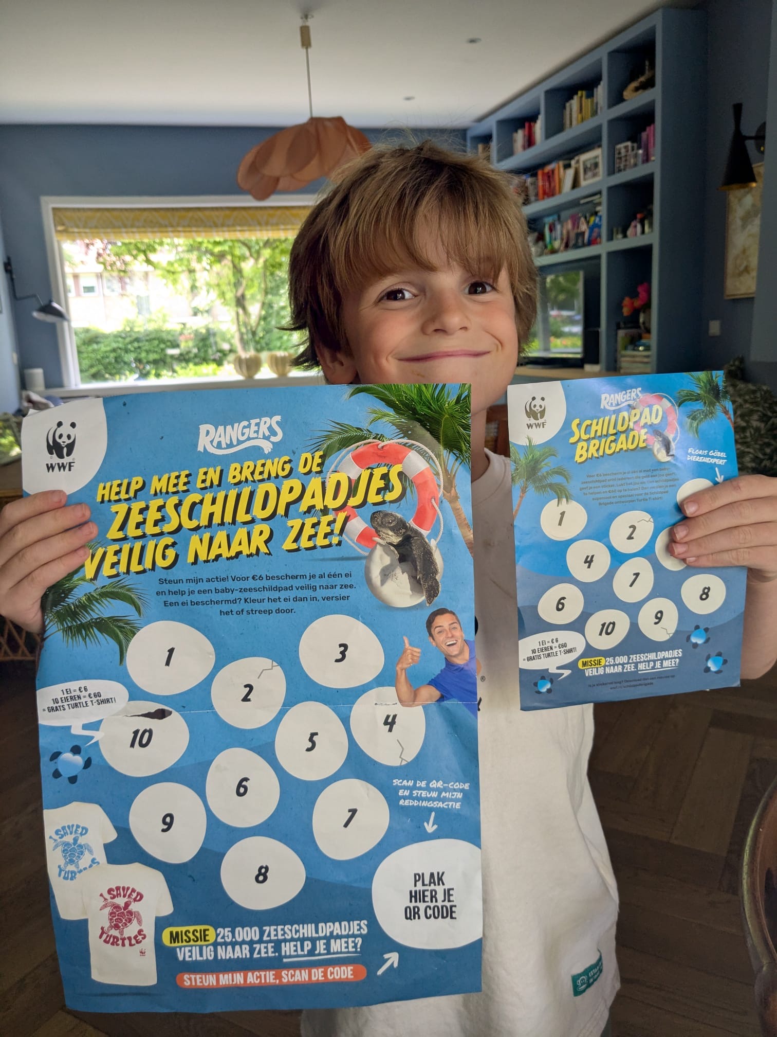 4b helpt de schildpadden 