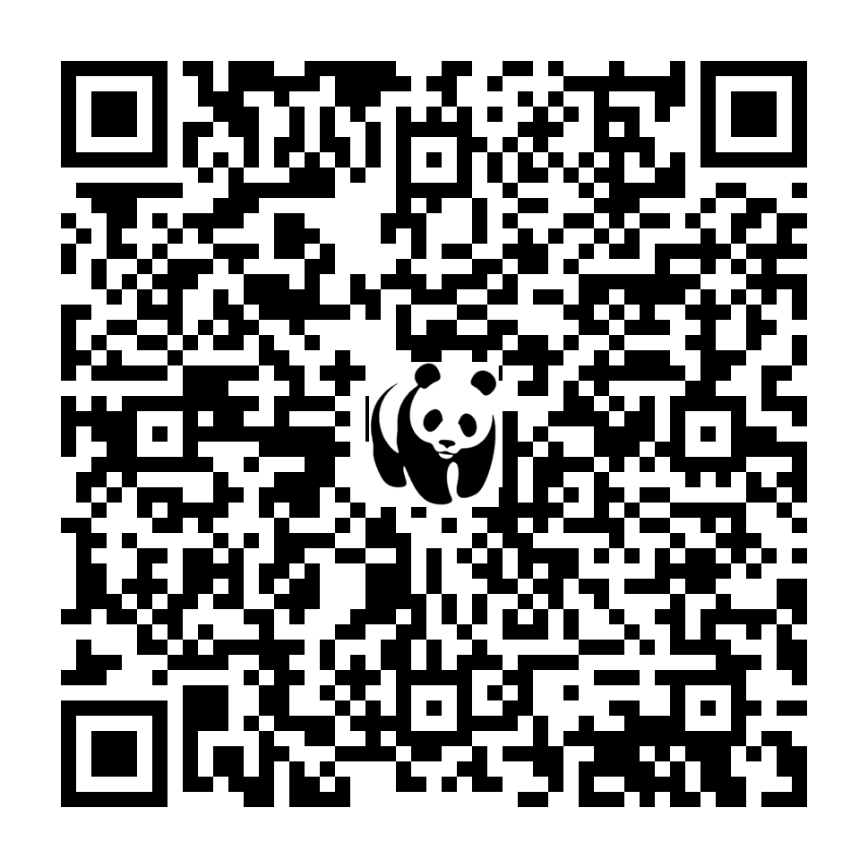 Scan deze QR-code om te doneren (vernieuw de pagina als je geen QR-code ziet)