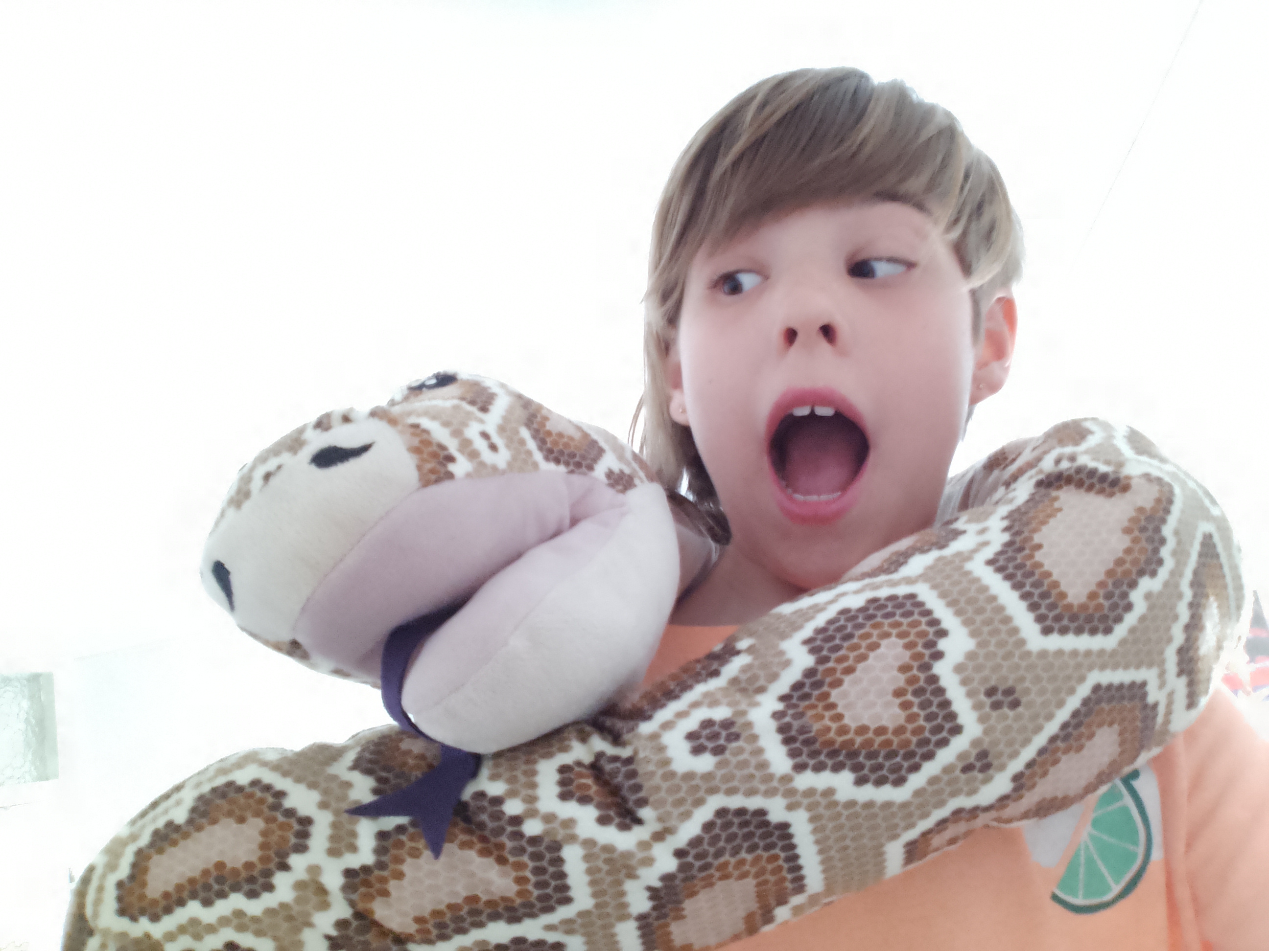 Save the Elephant with me