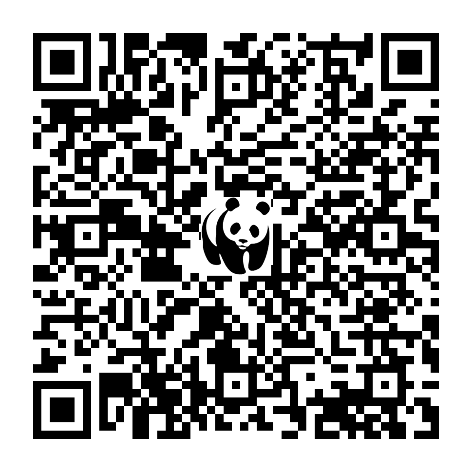 Scan deze QR-code om te doneren (vernieuw de pagina als je geen QR-code ziet)