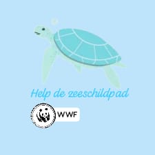 Help de zeeschildpad 