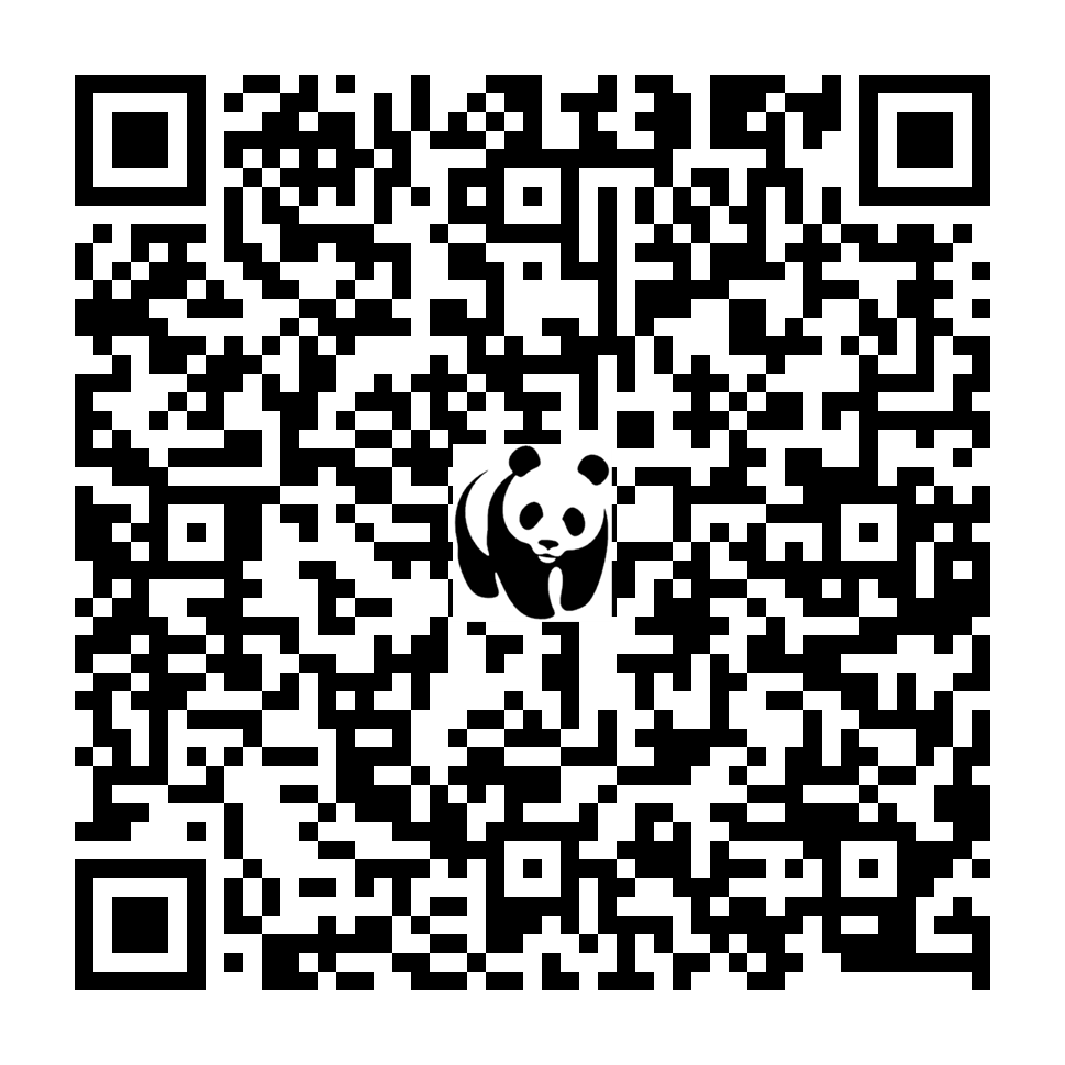 Scan deze QR-code om te doneren (vernieuw de pagina als je geen QR-code ziet)