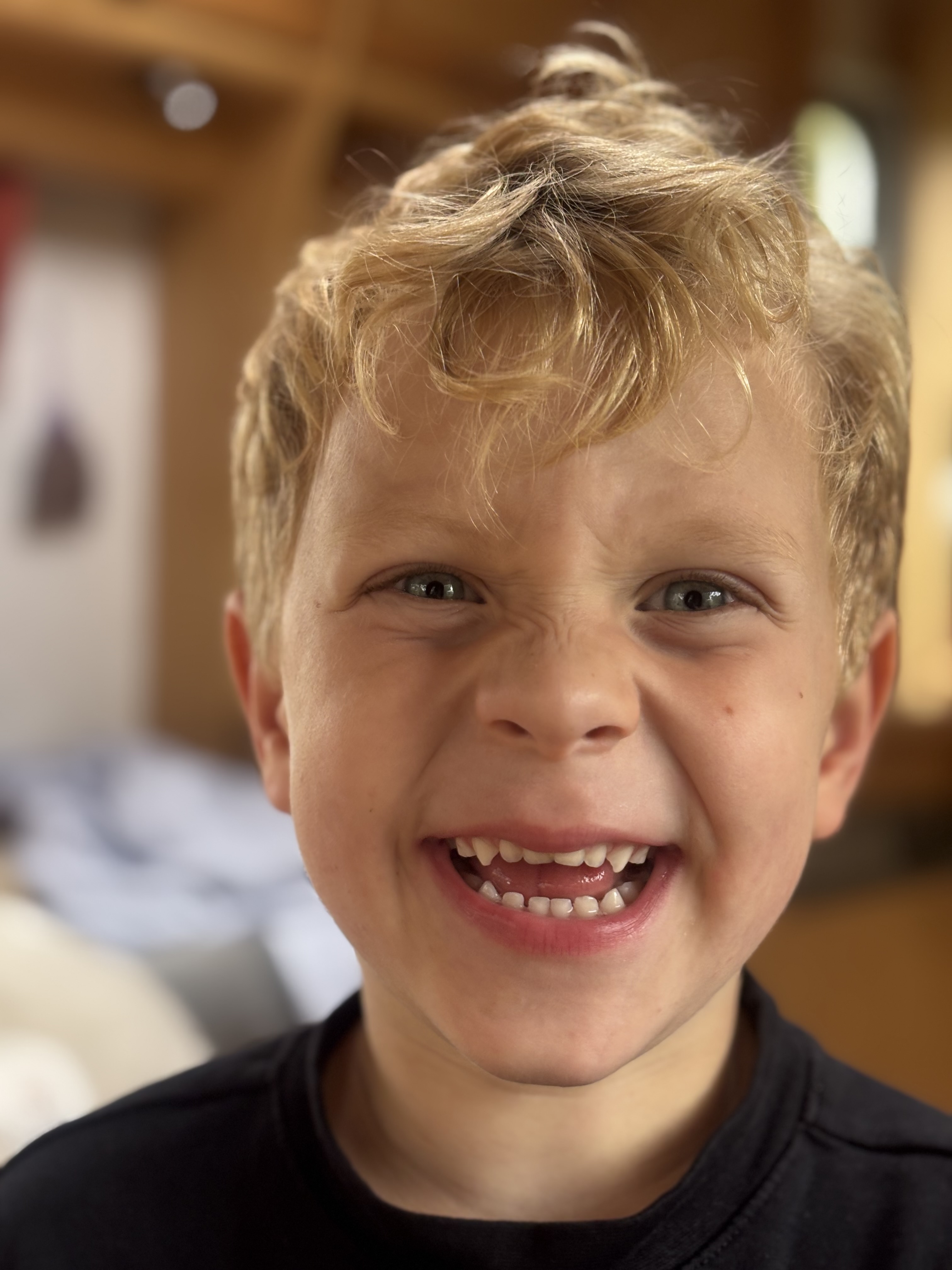 Olifant ik ga jou helpen 