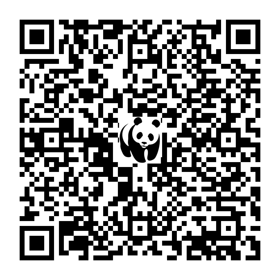 Scan deze QR-code om te doneren (vernieuw de pagina als je geen QR-code ziet)