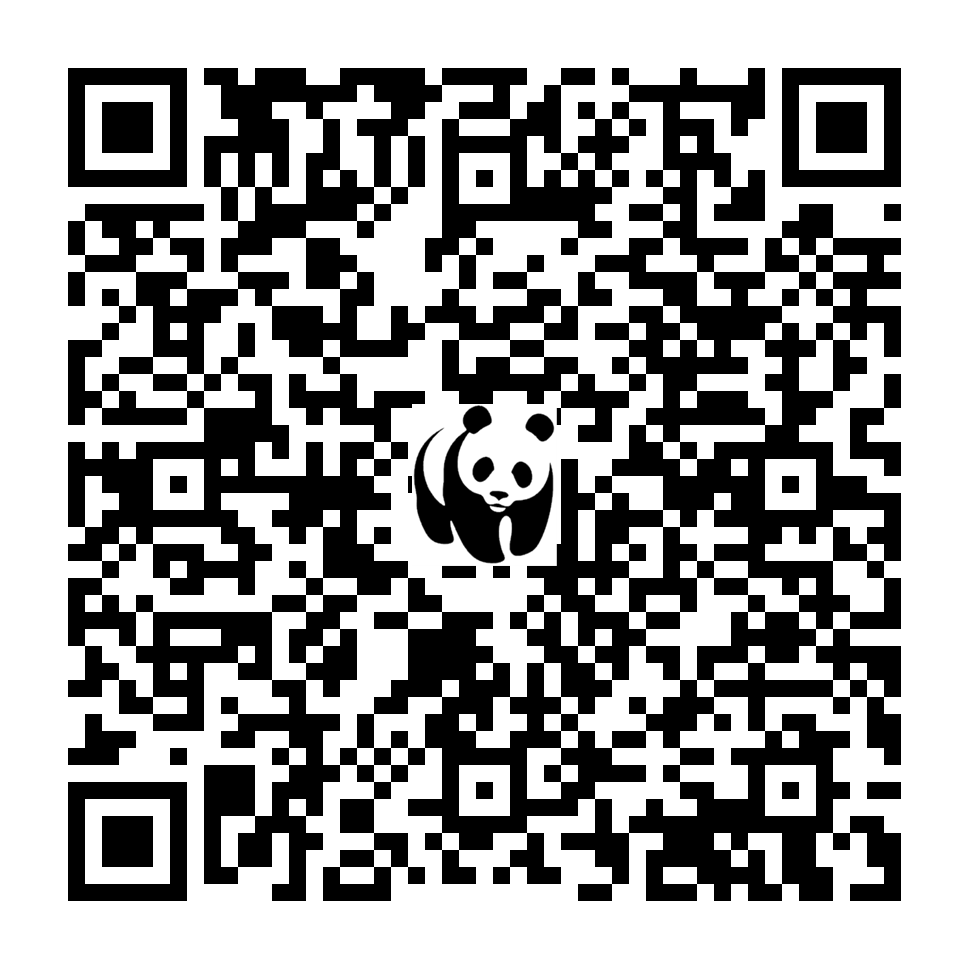 Scan deze QR-code om te doneren (vernieuw de pagina als je geen QR-code ziet)