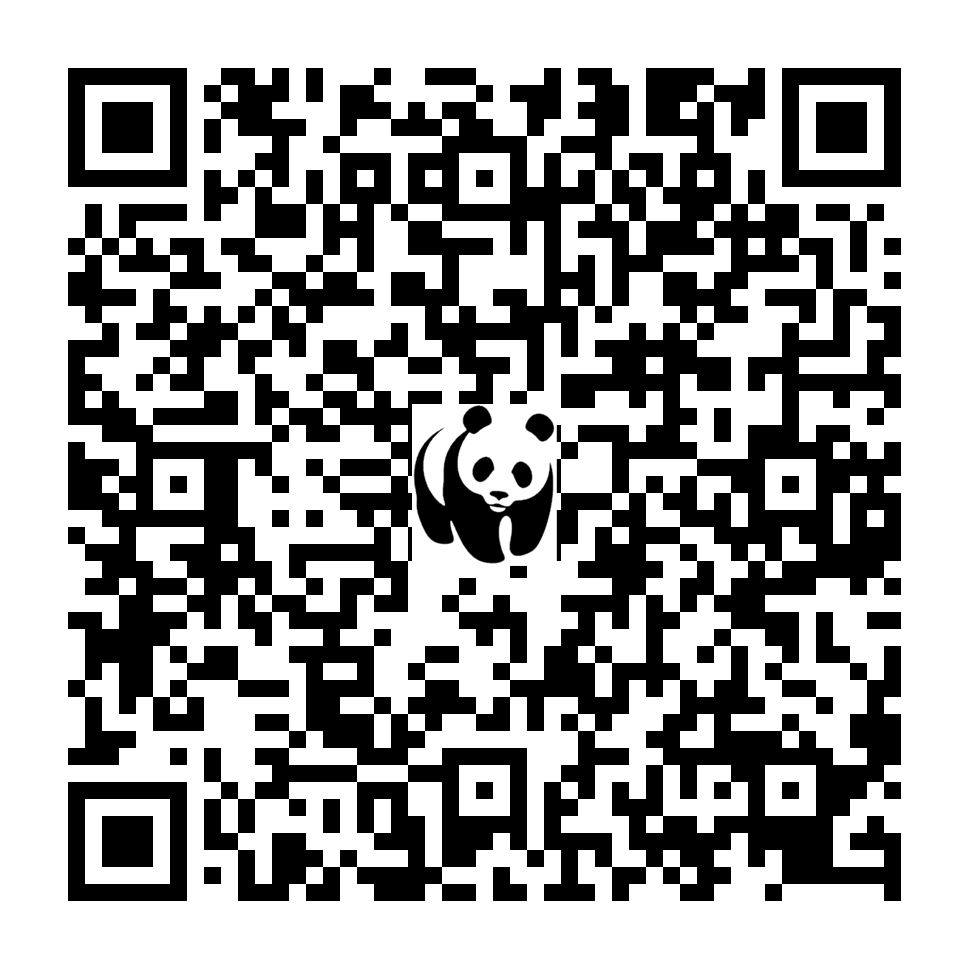 Scan deze QR-code om te doneren (vernieuw de pagina als je geen QR-code ziet)