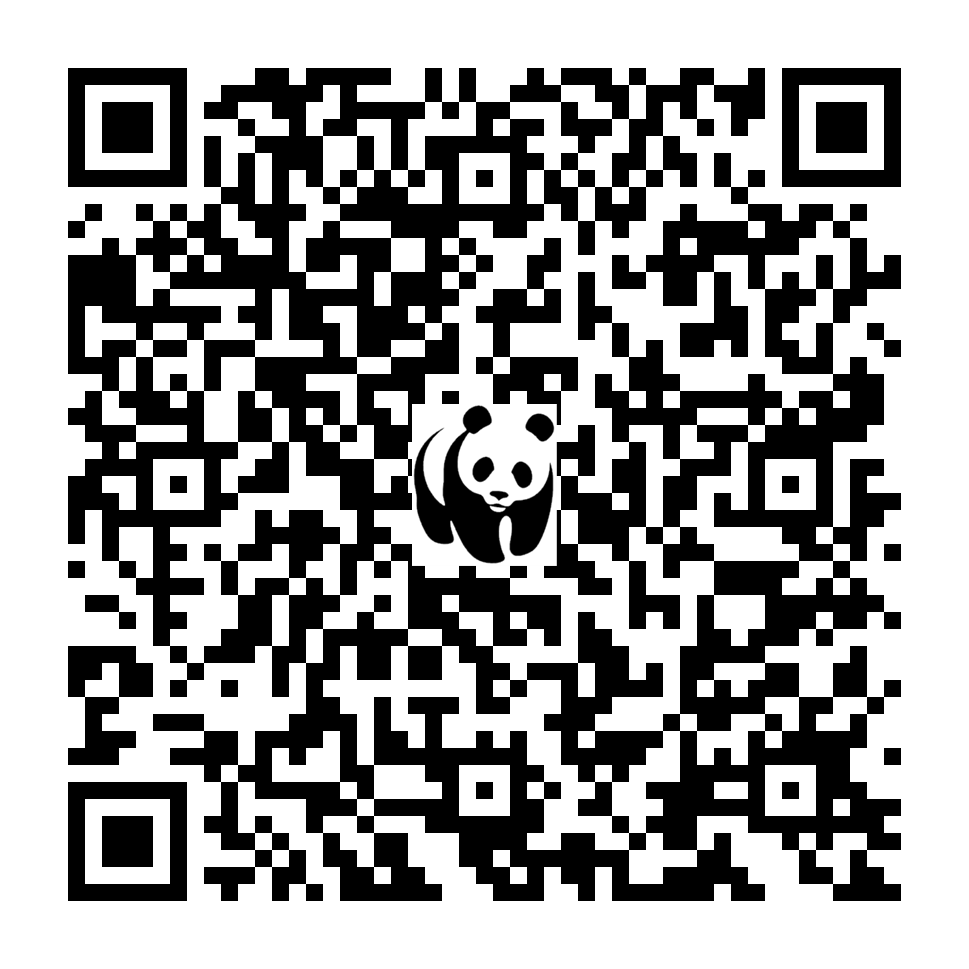 Scan deze QR-code om te doneren (vernieuw de pagina als je geen QR-code ziet)