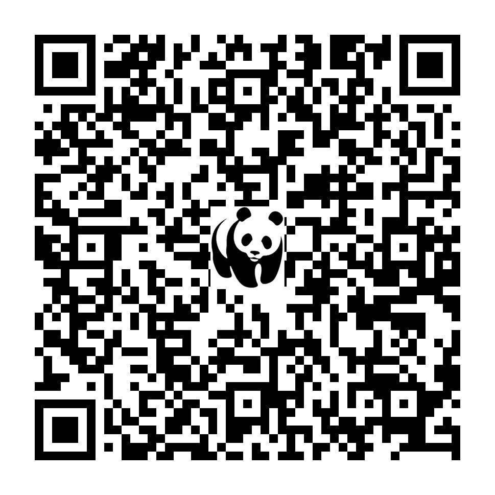 Scan deze QR-code om te doneren (vernieuw de pagina als je geen QR-code ziet)