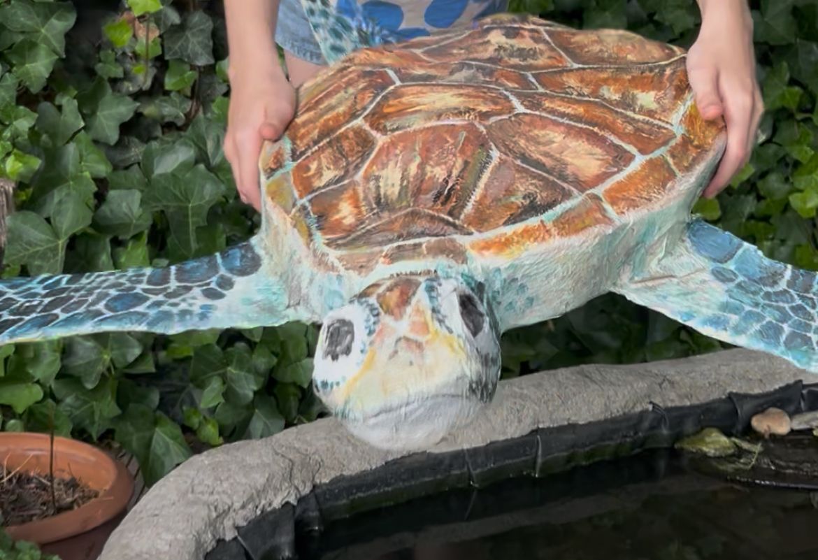 Lola red de zeeschildpad