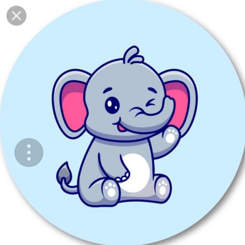 Kleur de olifant veilig