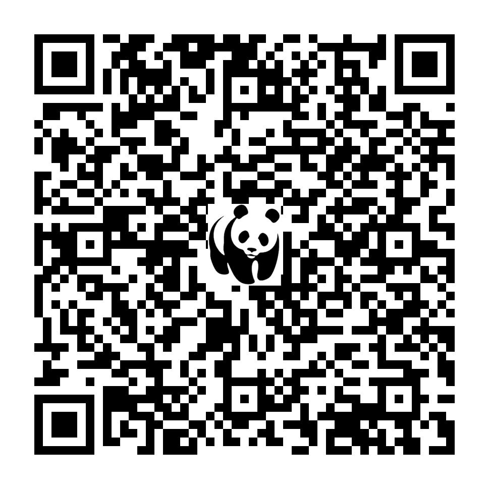 Scan deze QR-code om te doneren (vernieuw de pagina als je geen QR-code ziet)
