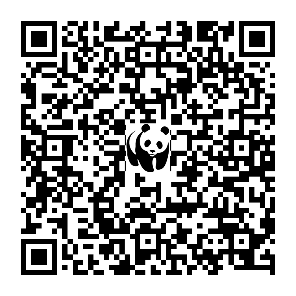 Scan deze QR-code om te doneren (vernieuw de pagina als je geen QR-code ziet)