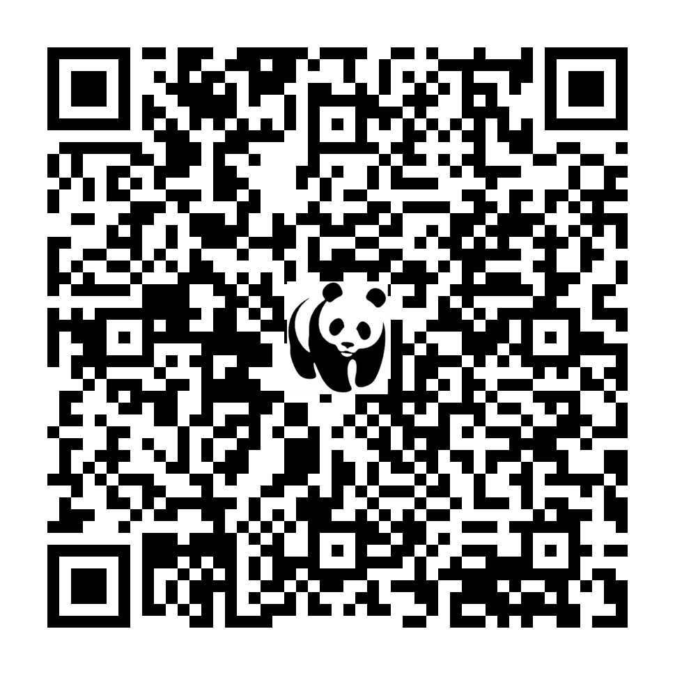 Scan deze QR-code om te doneren (vernieuw de pagina als je geen QR-code ziet)