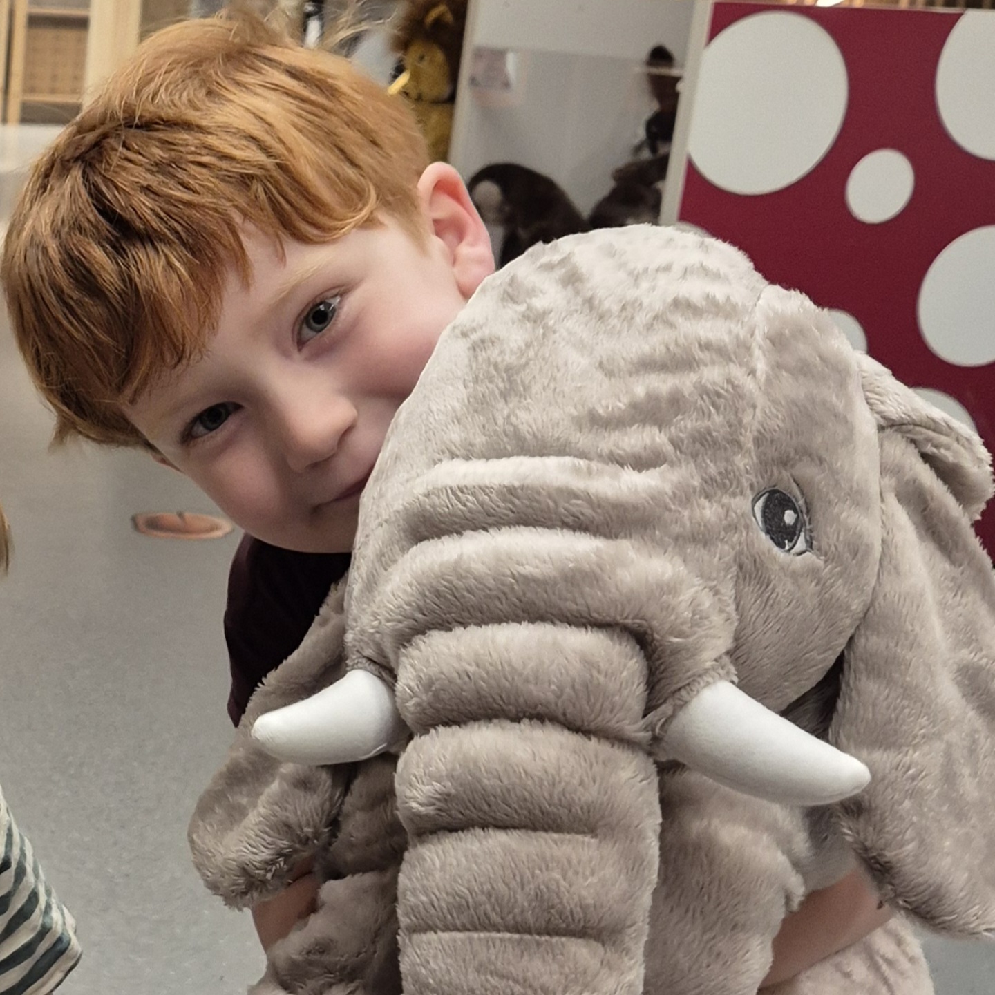 Ranger Tom redt olifanten