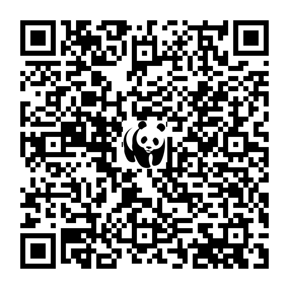 Scan deze QR-code om te doneren (vernieuw de pagina als je geen QR-code ziet)