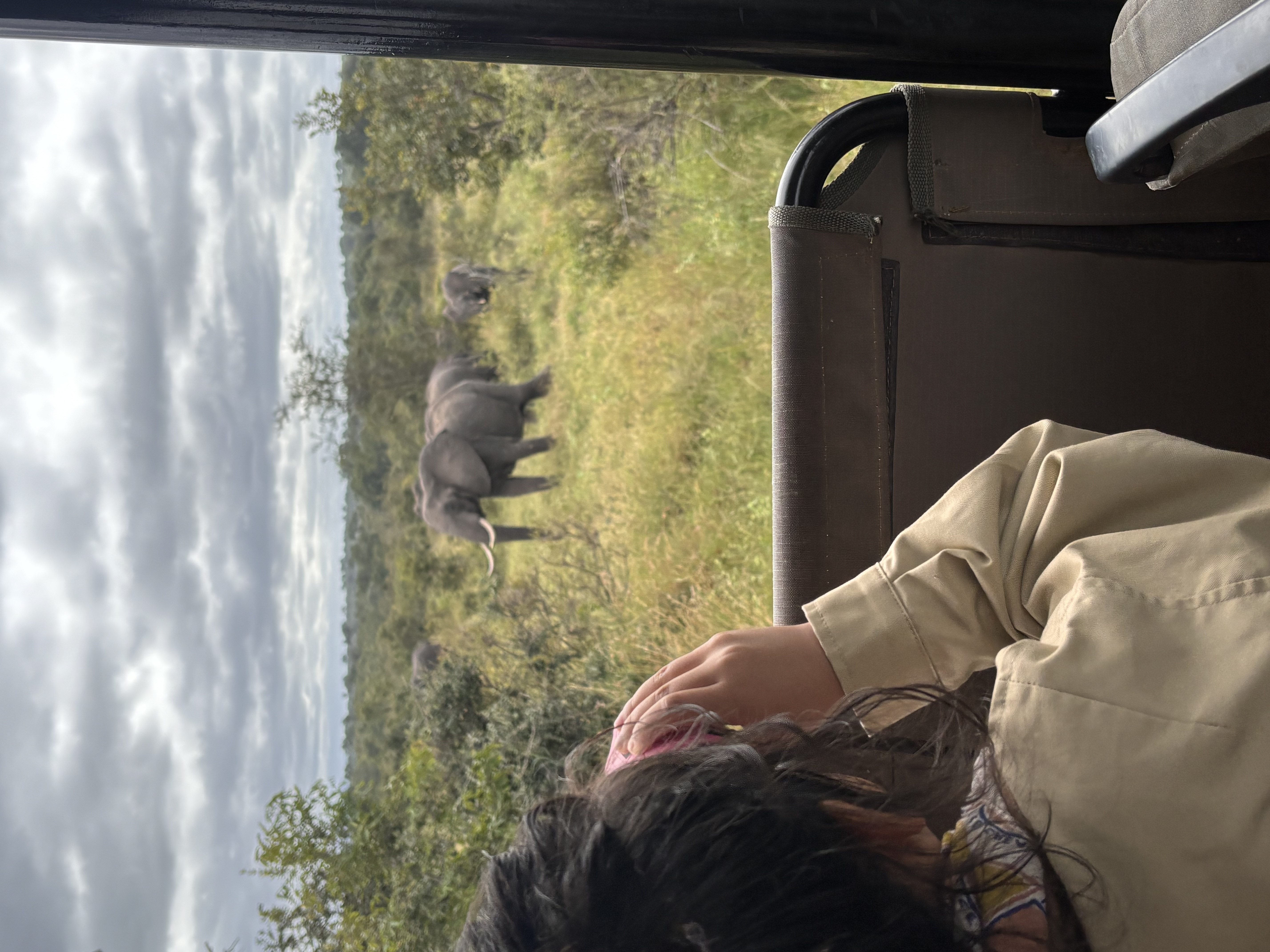 Evy helpt de olifanten