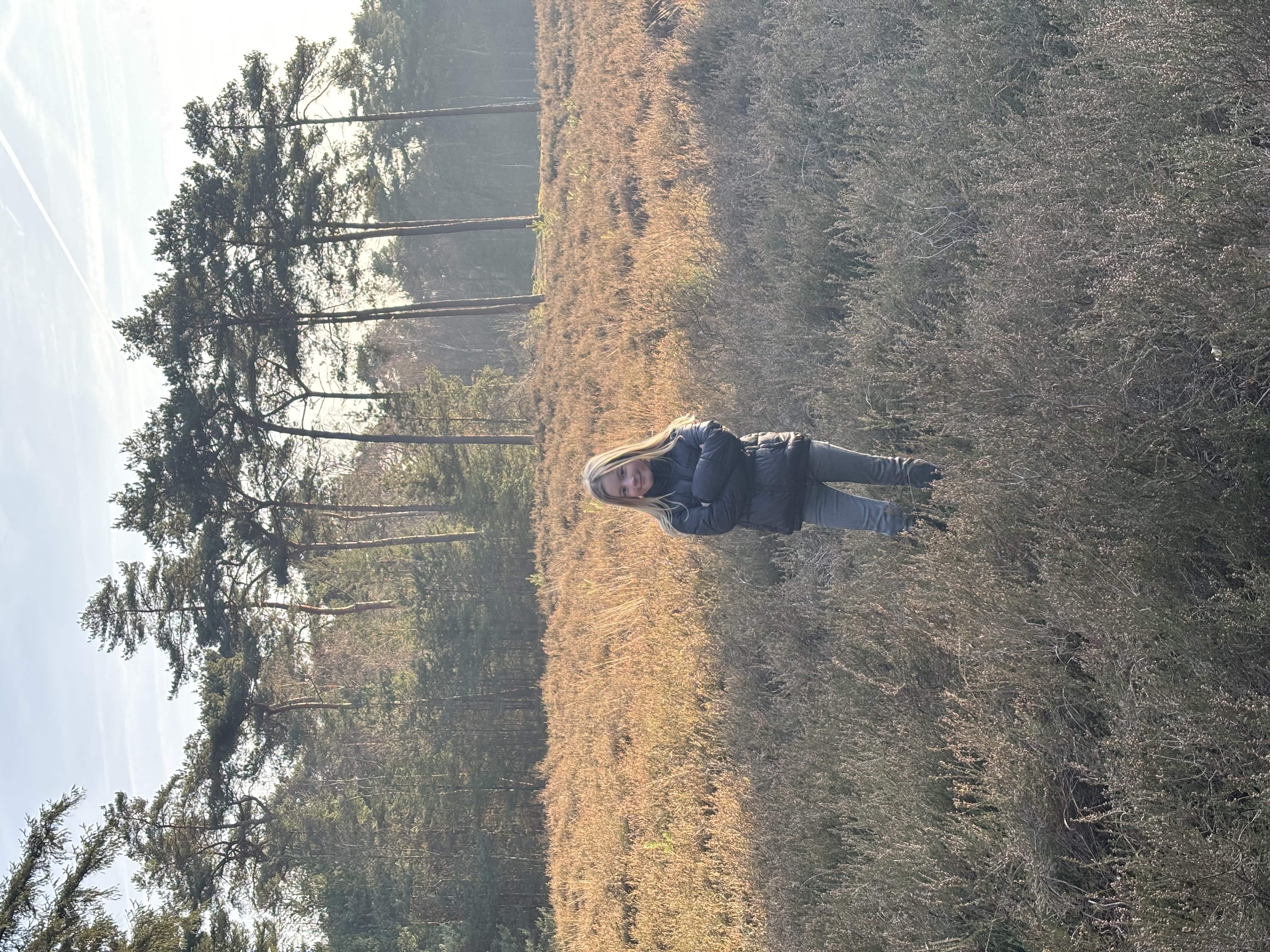 Fiene helpt de olifanten