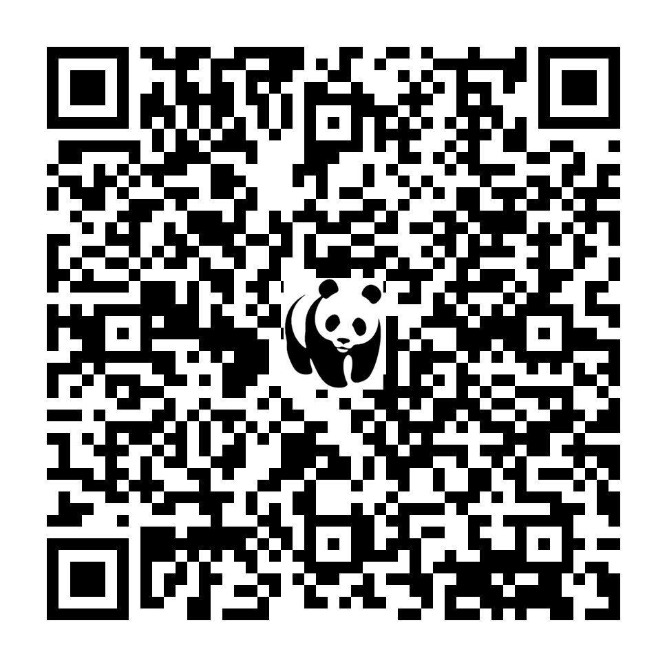 Scan deze QR-code om te doneren (vernieuw de pagina als je geen QR-code ziet)