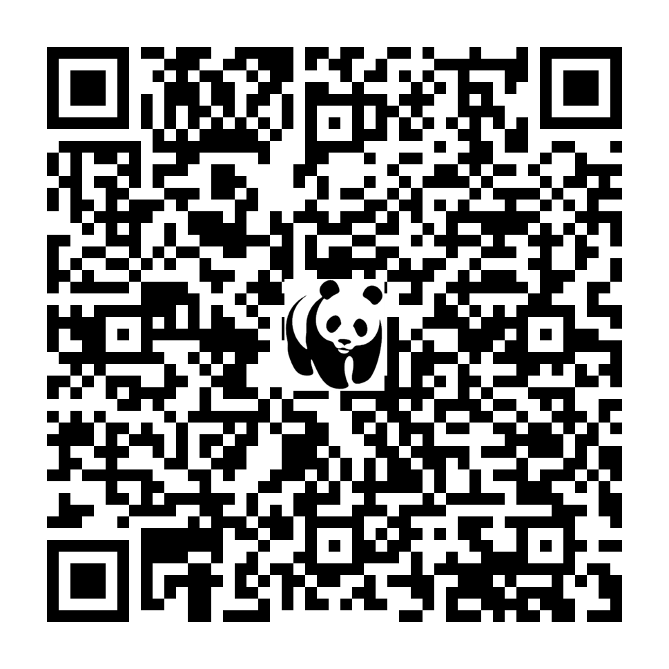 Scan deze QR-code om te doneren (vernieuw de pagina als je geen QR-code ziet)