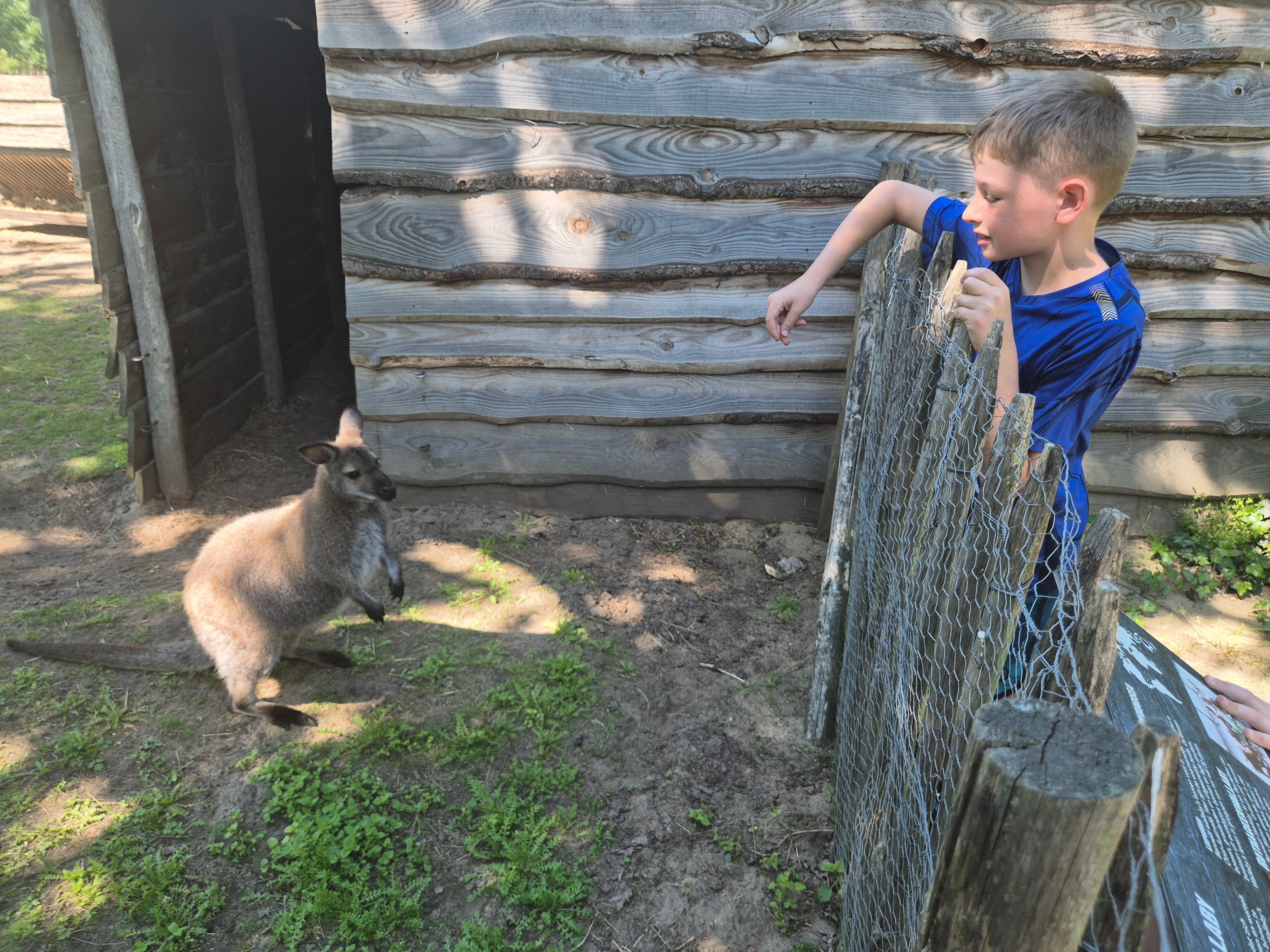 Help de zeeschildpad