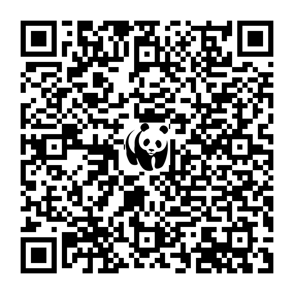 Scan deze QR-code om te doneren (vernieuw de pagina als je geen QR-code ziet)