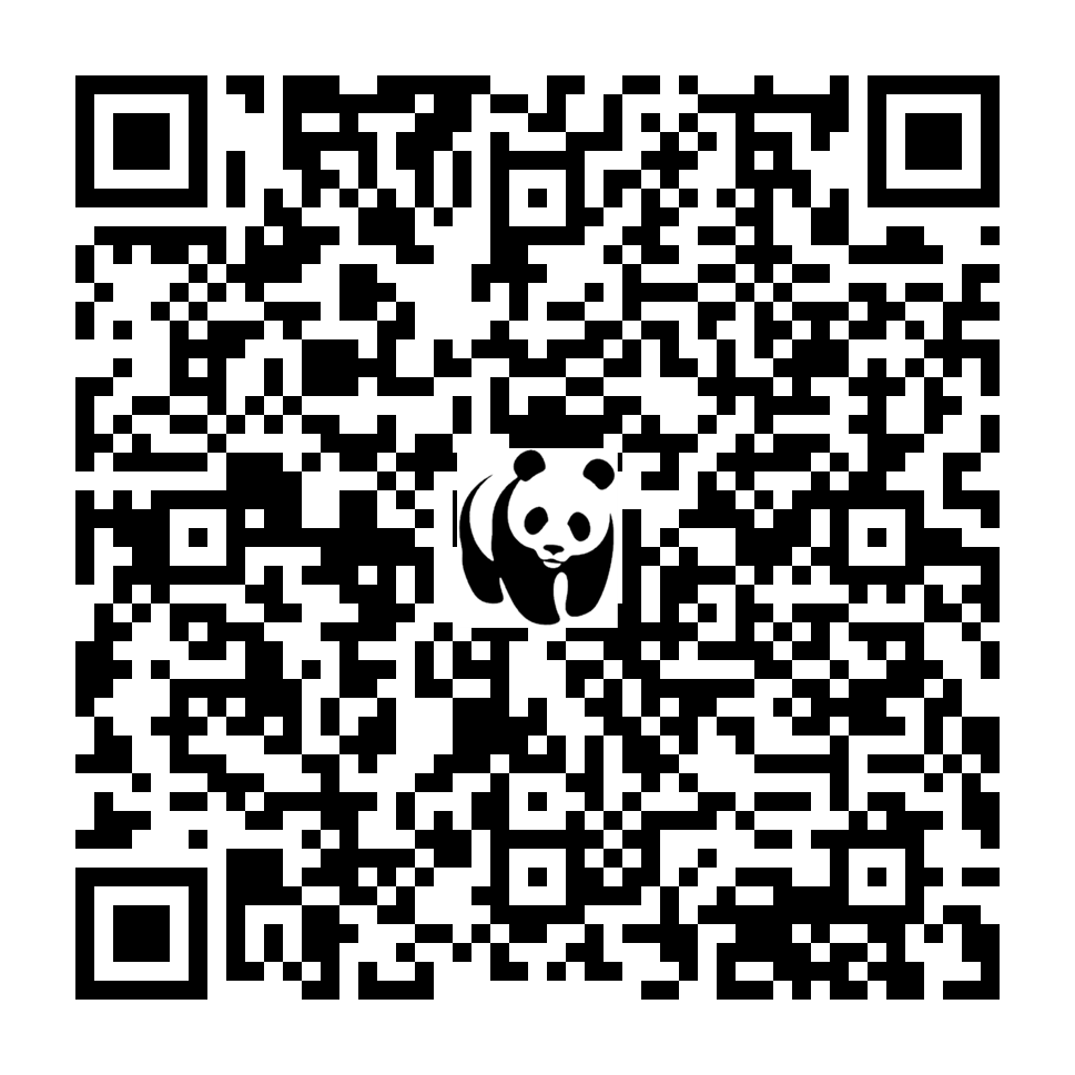 Scan deze QR-code om te doneren (vernieuw de pagina als je geen QR-code ziet)