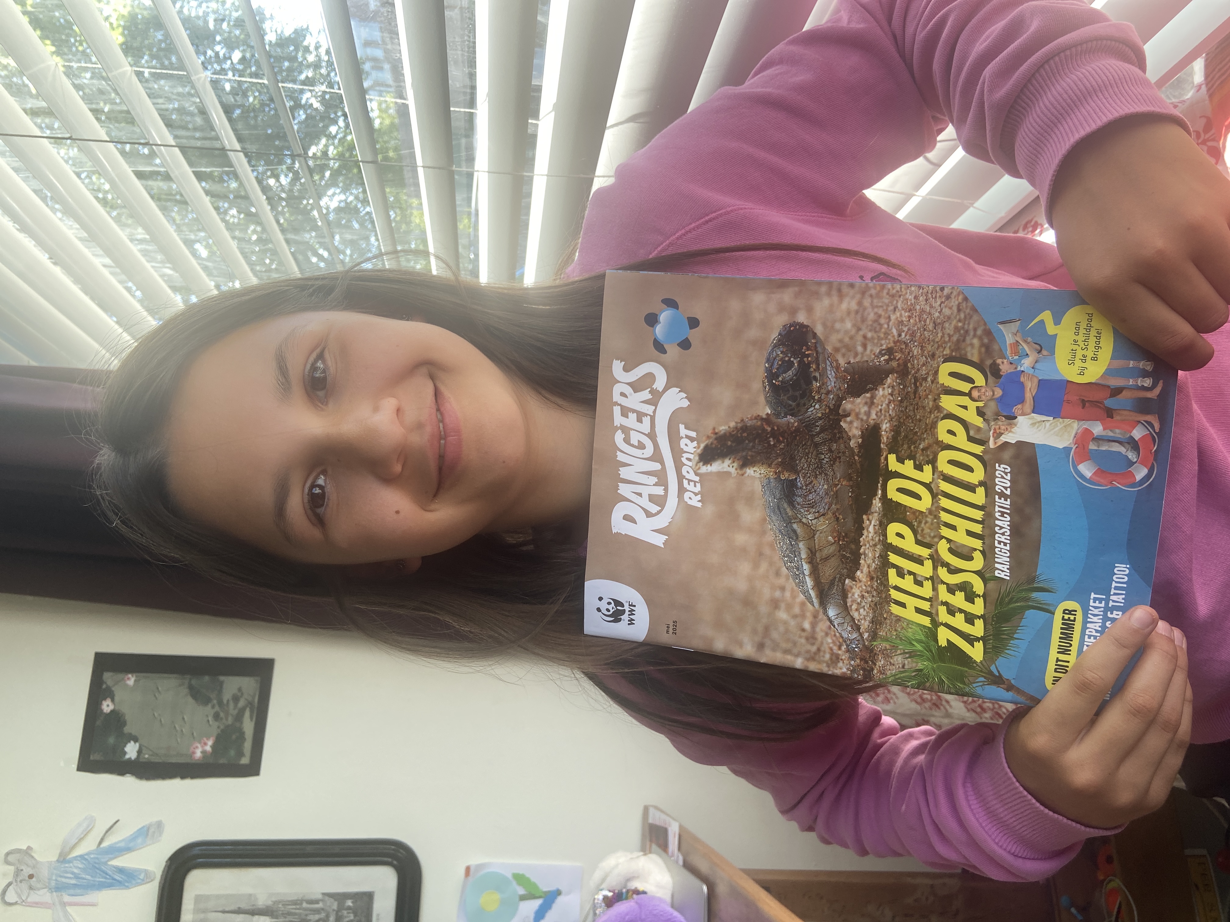 Red de zee schildpad 