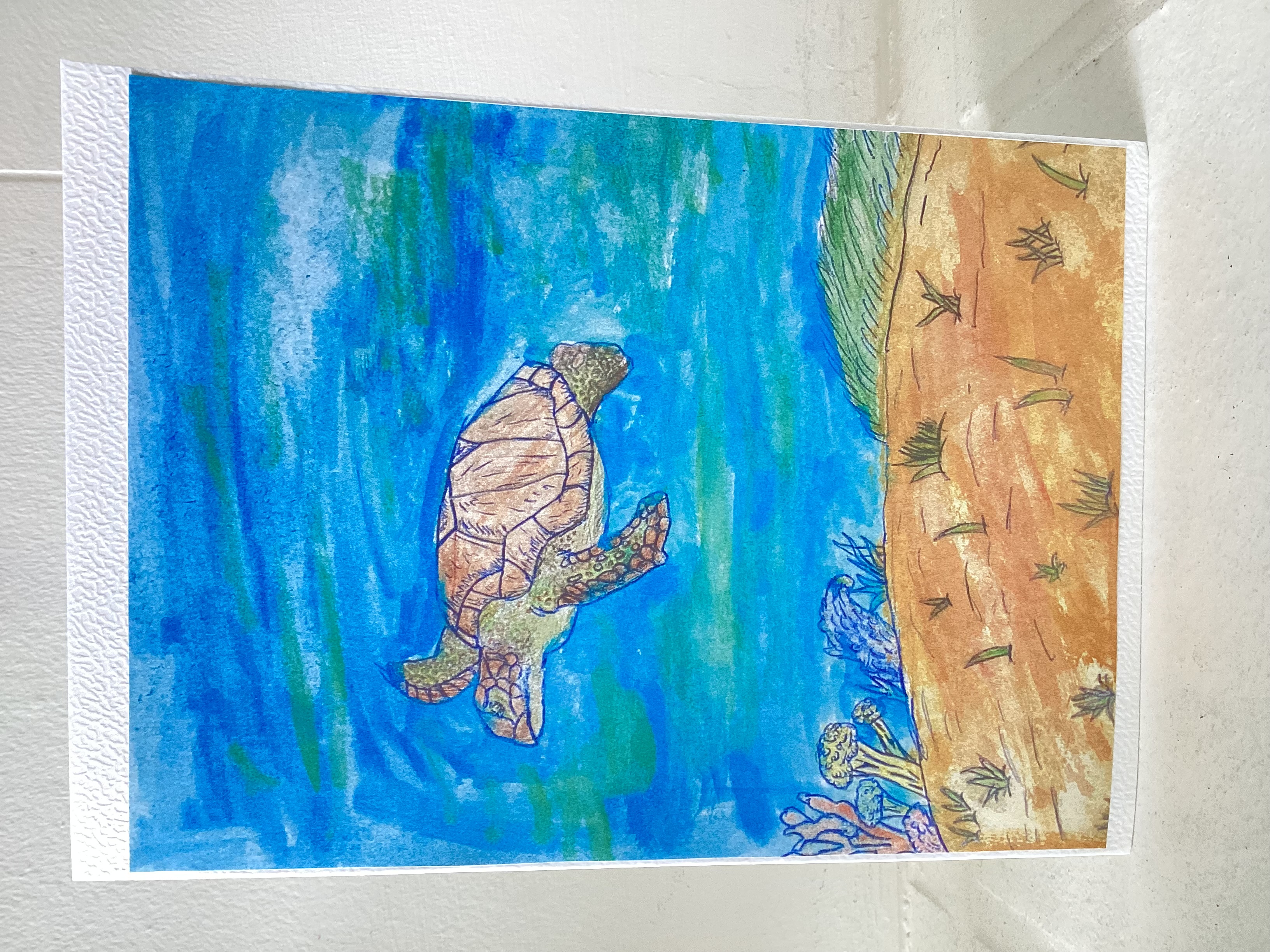 Kaartjes met zeedieren