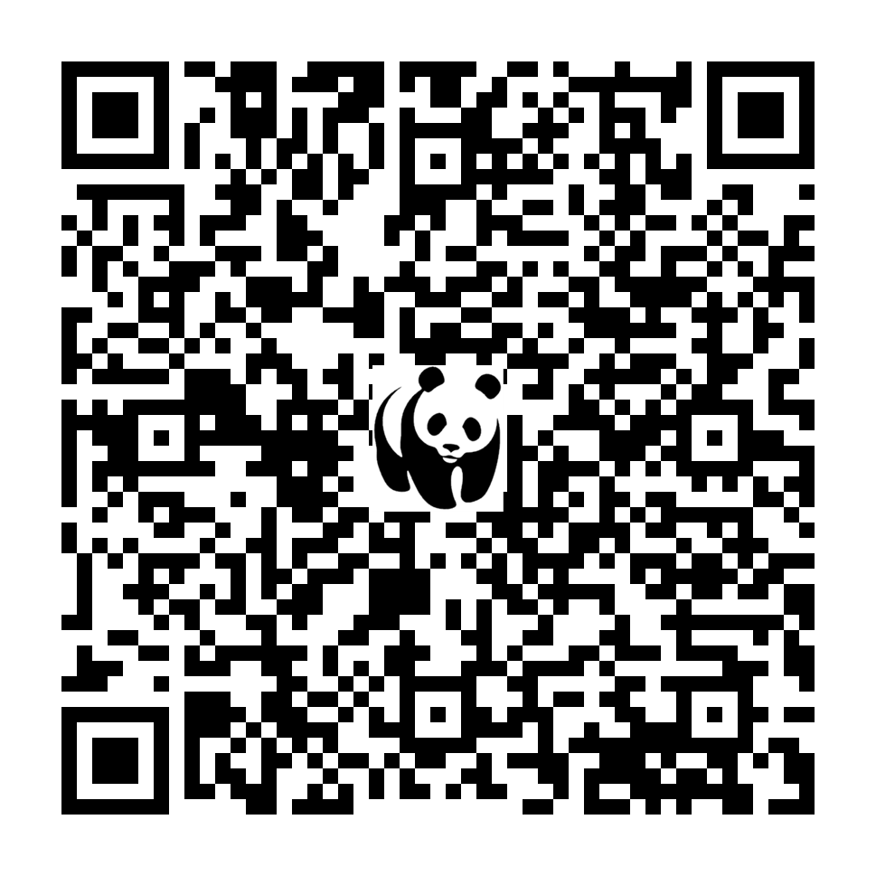Scan deze QR-code om te doneren (vernieuw de pagina als je geen QR-code ziet)