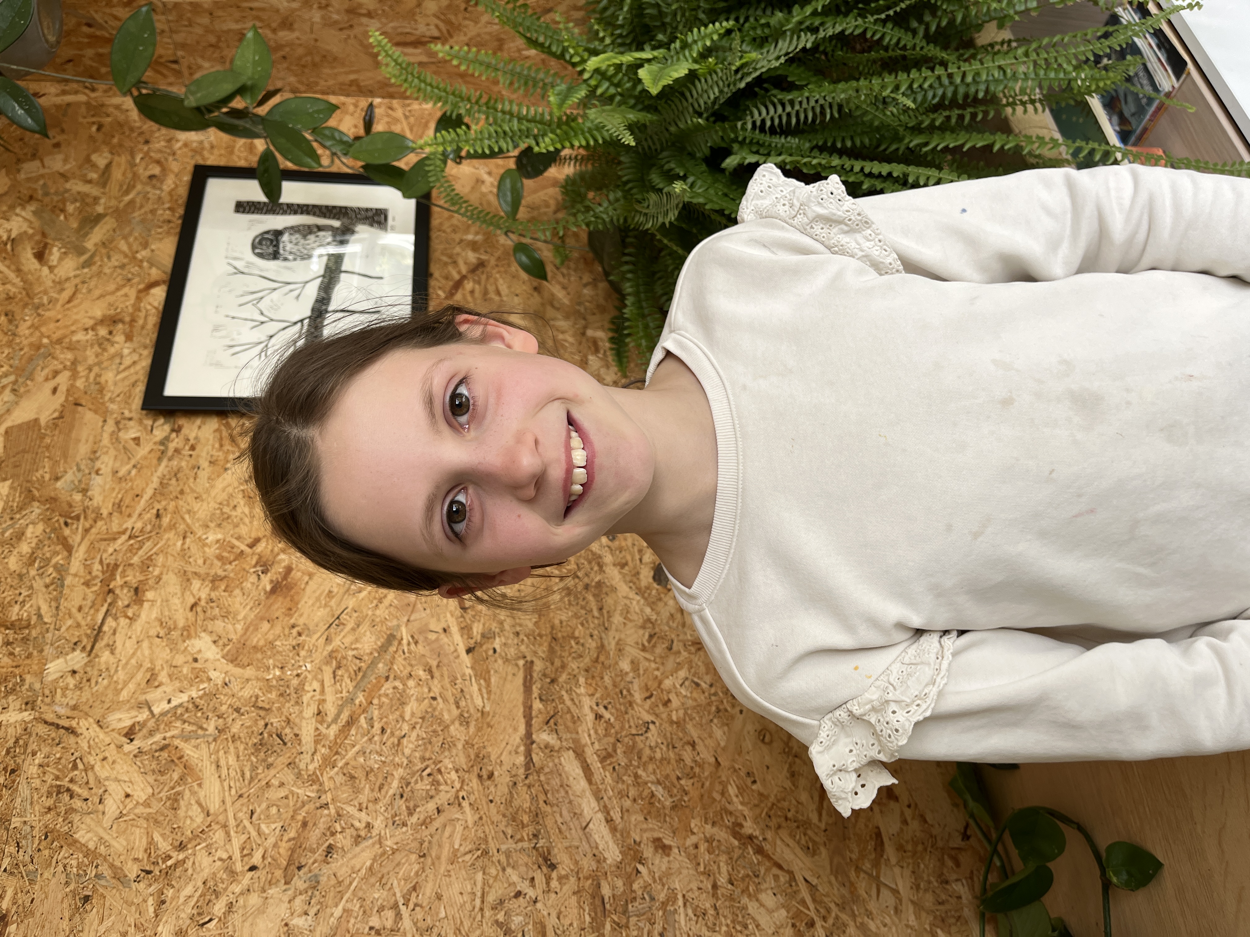 Strijden voor de olifant