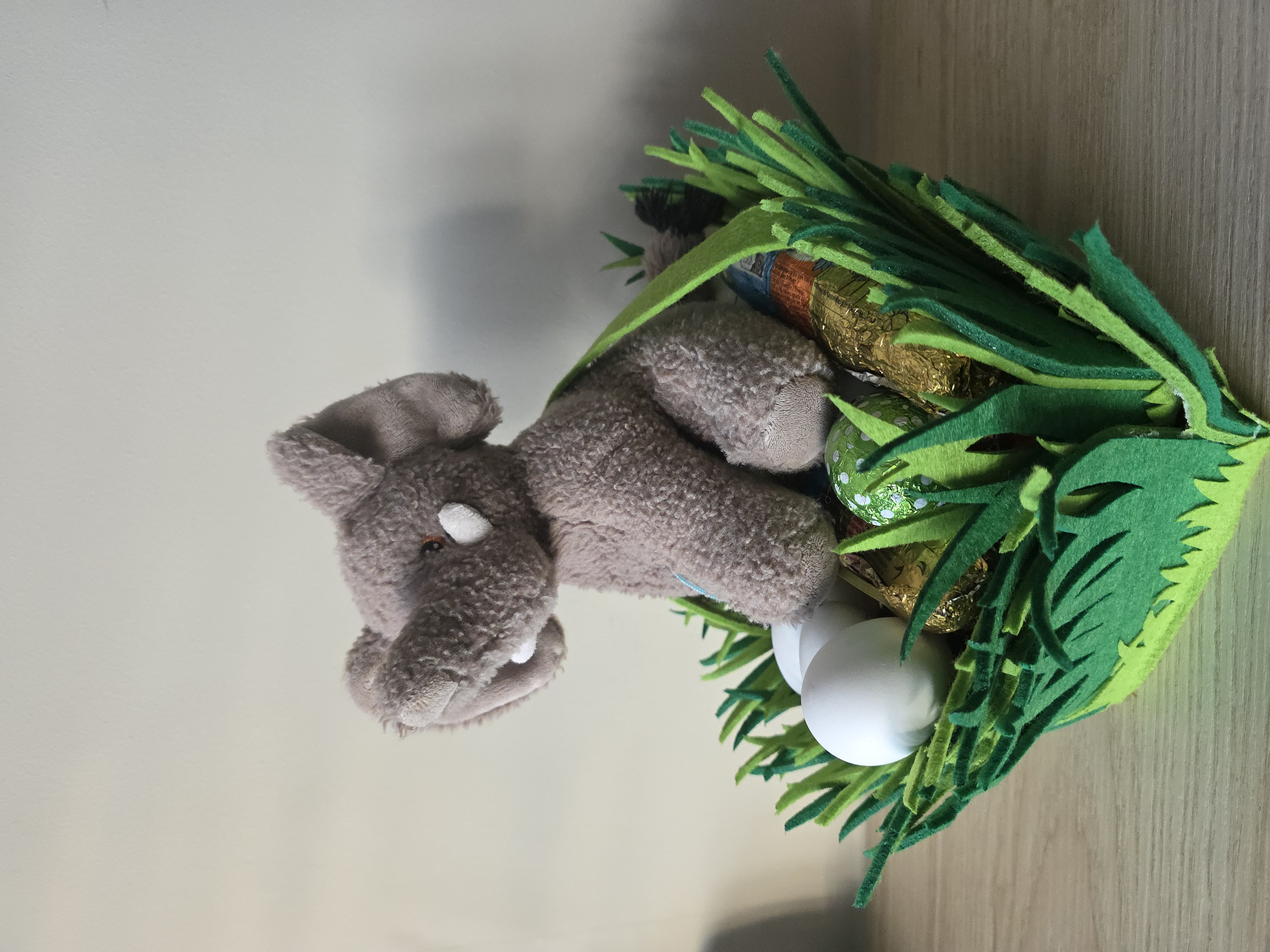 Actie voor de olifanten