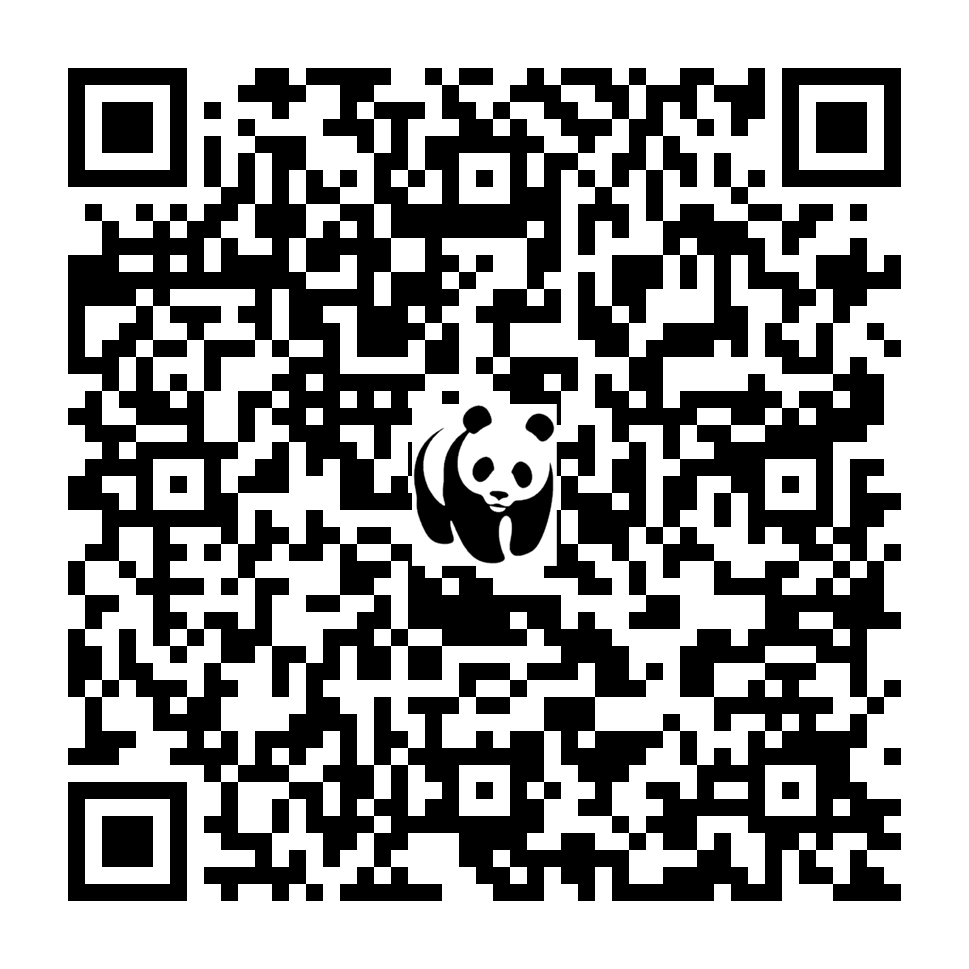 Scan deze QR-code om te doneren (vernieuw de pagina als je geen QR-code ziet)