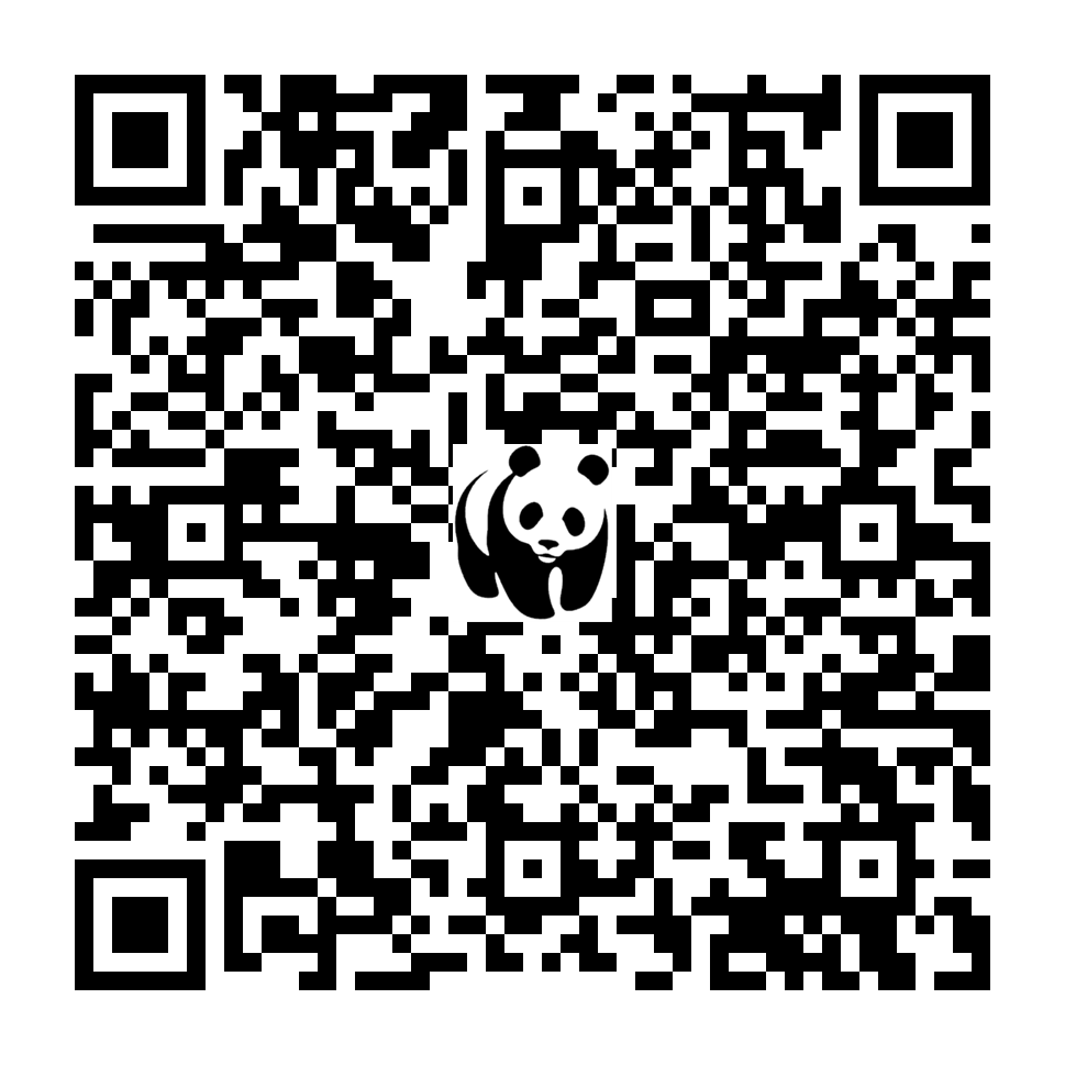 Scan deze QR-code om te doneren (vernieuw de pagina als je geen QR-code ziet)