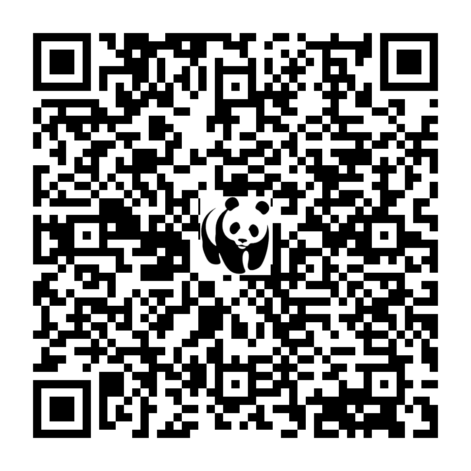 Scan deze QR-code om te doneren (vernieuw de pagina als je geen QR-code ziet)