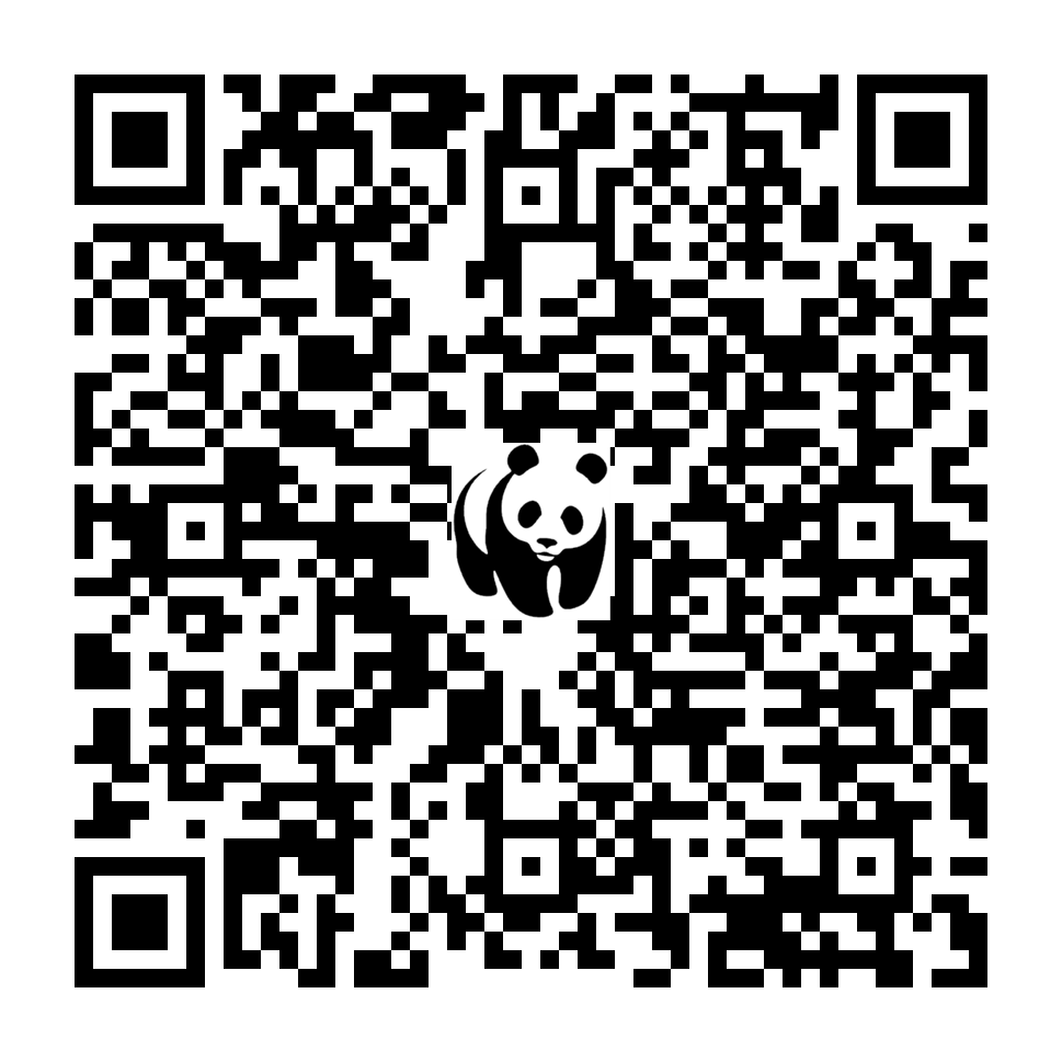 Scan deze QR-code om te doneren (vernieuw de pagina als je geen QR-code ziet)