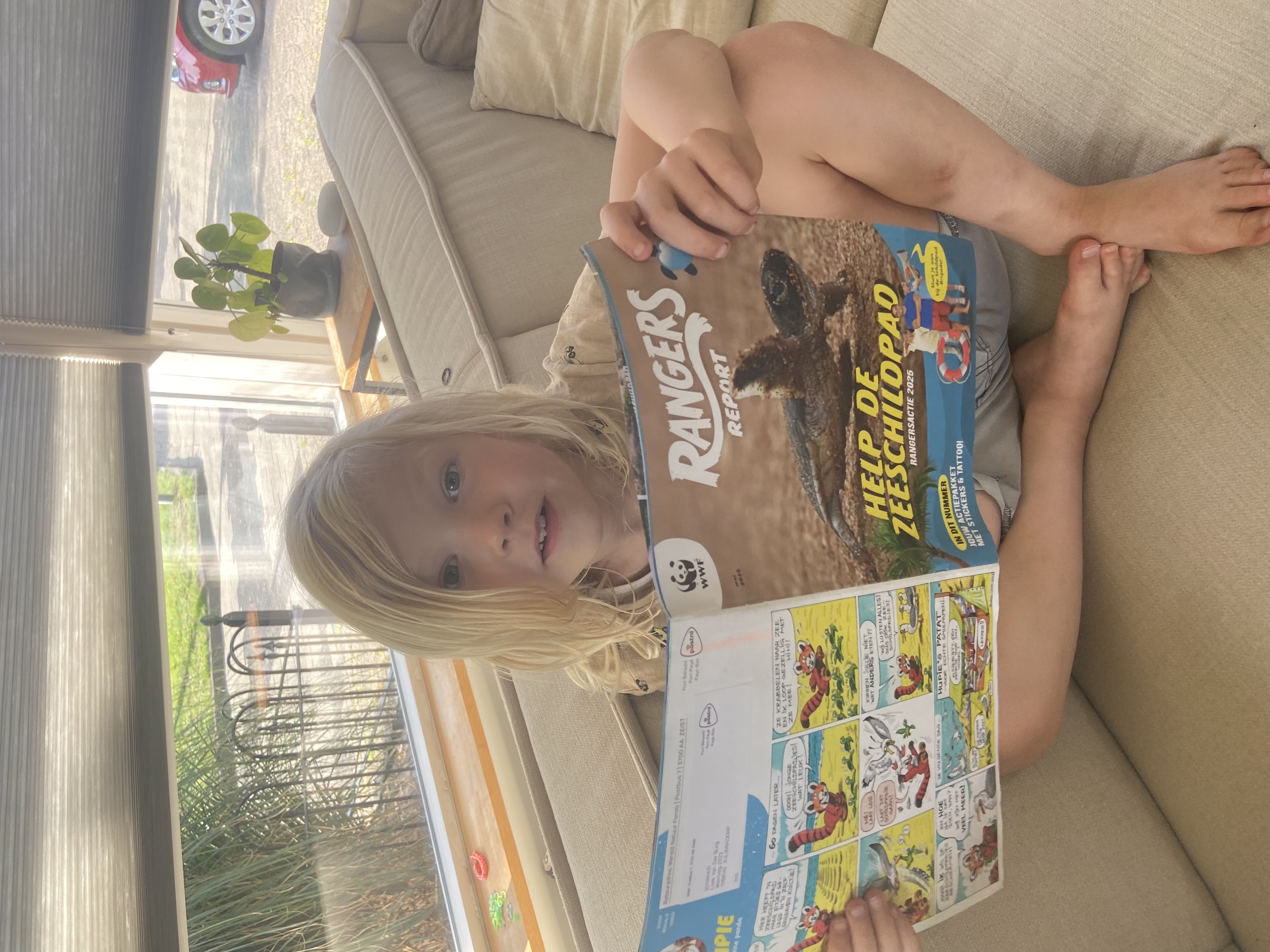 Loeks schildpadden actie